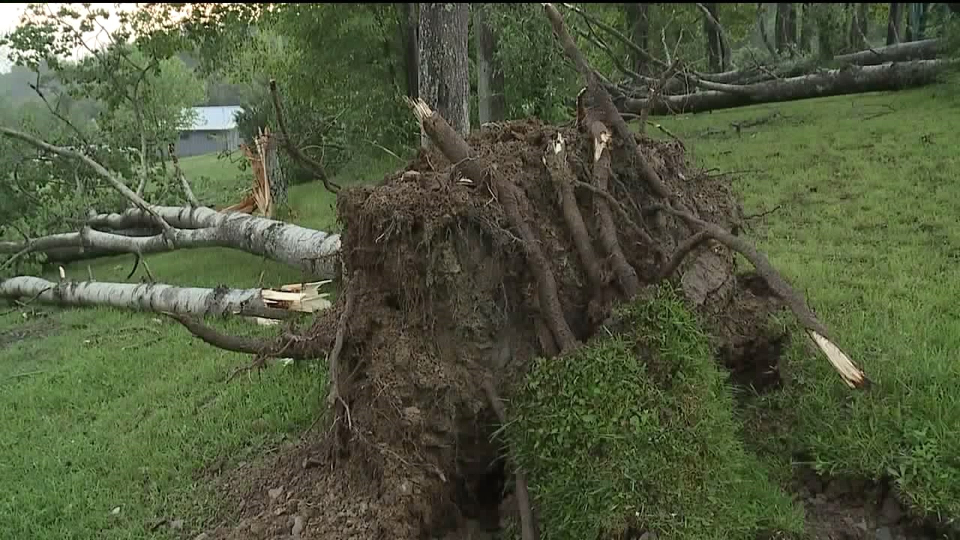 Storm Damage in Bradford County
