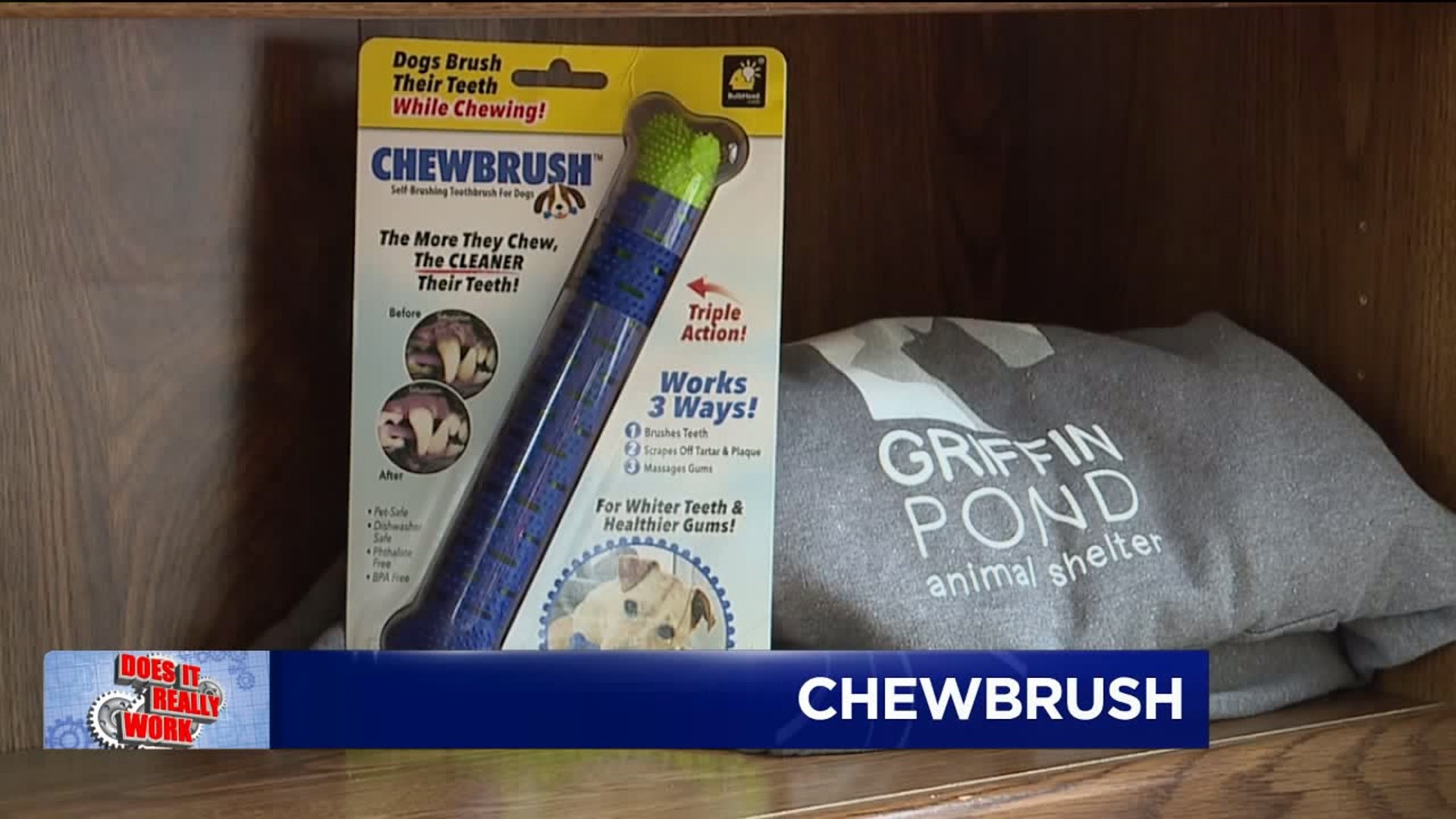 Does It Really Work: Chewbrush