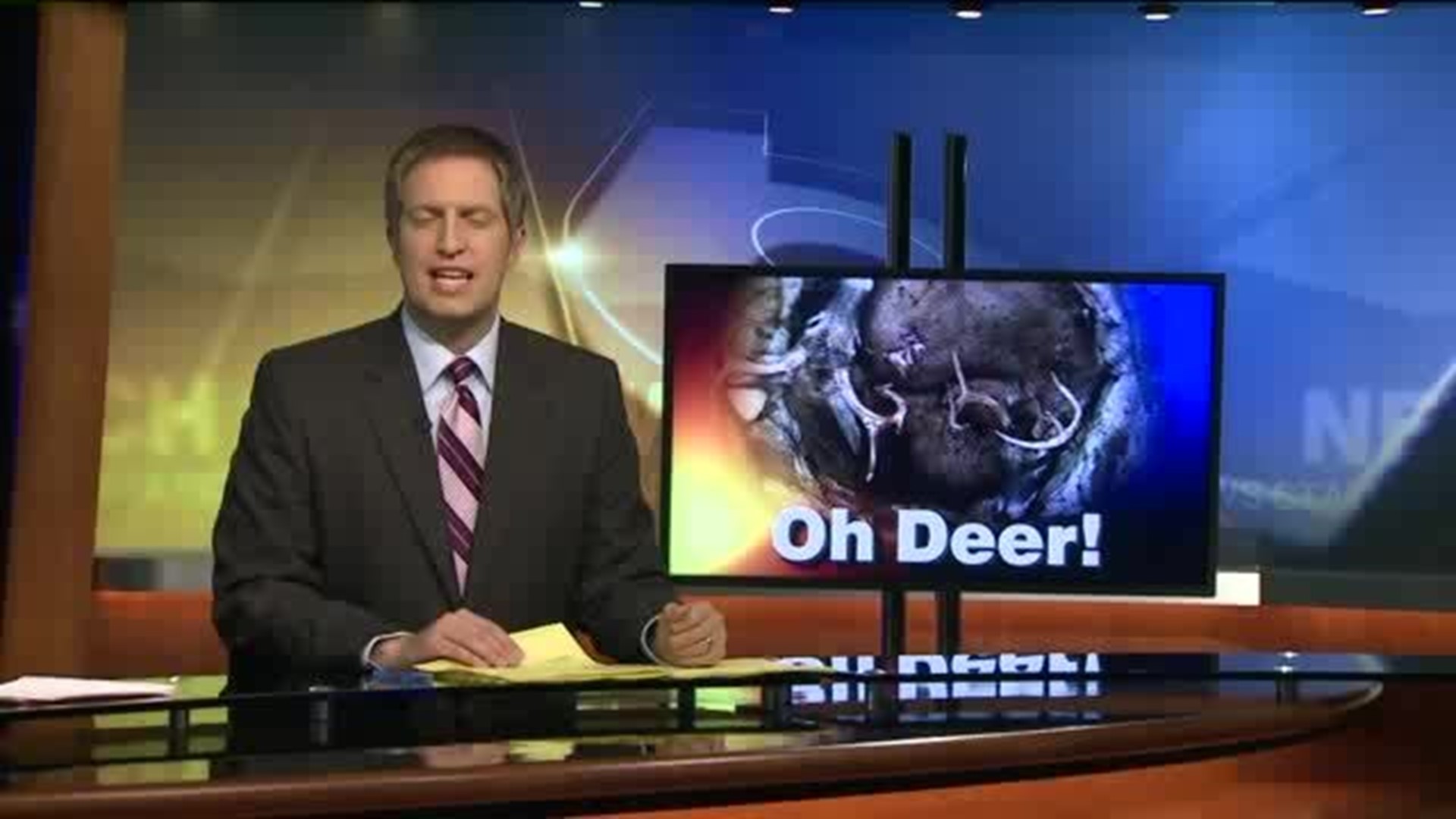 Deer Rescued From Well In Susquehanna County
