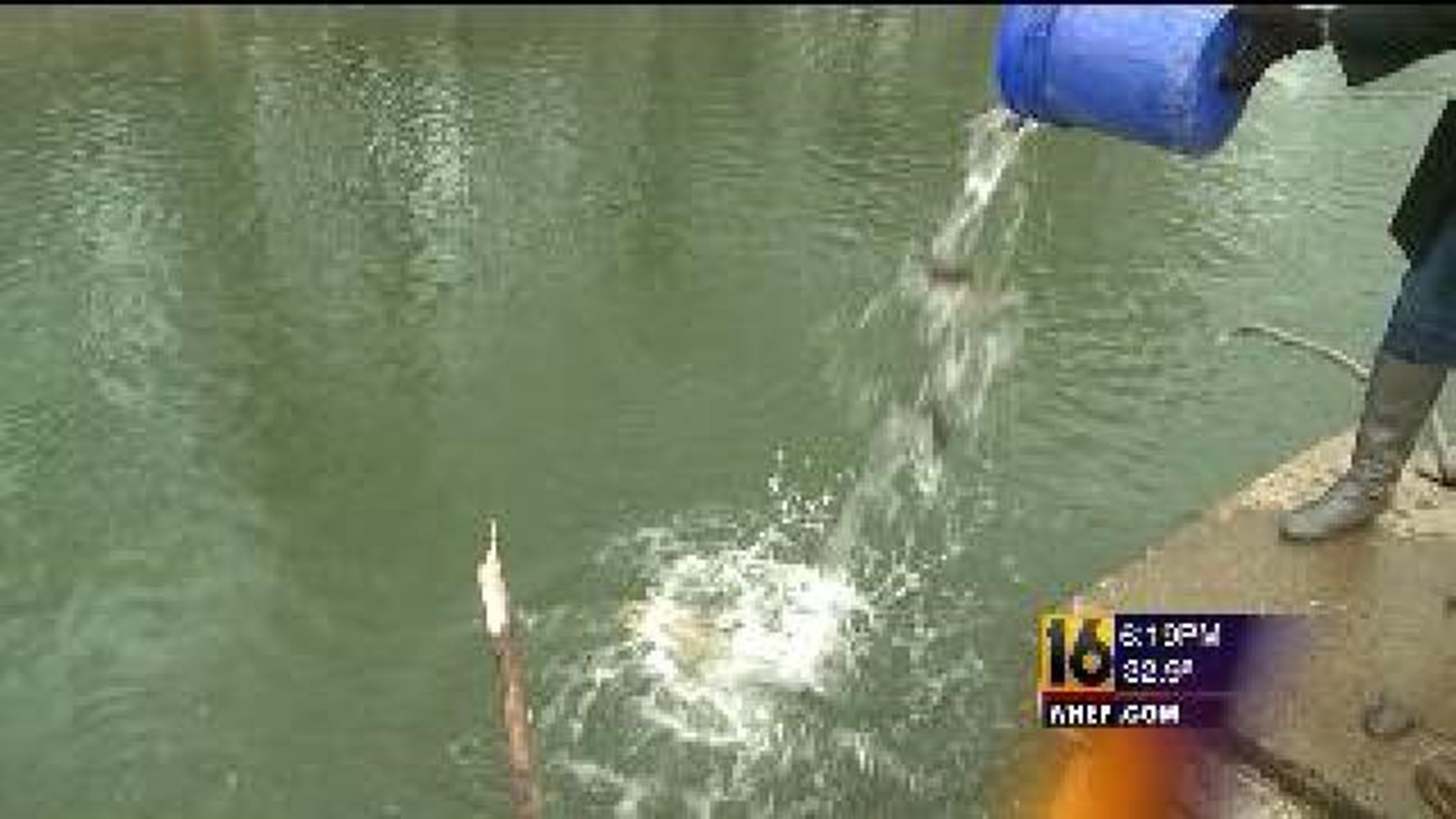 Trout Stocking in Columbia County