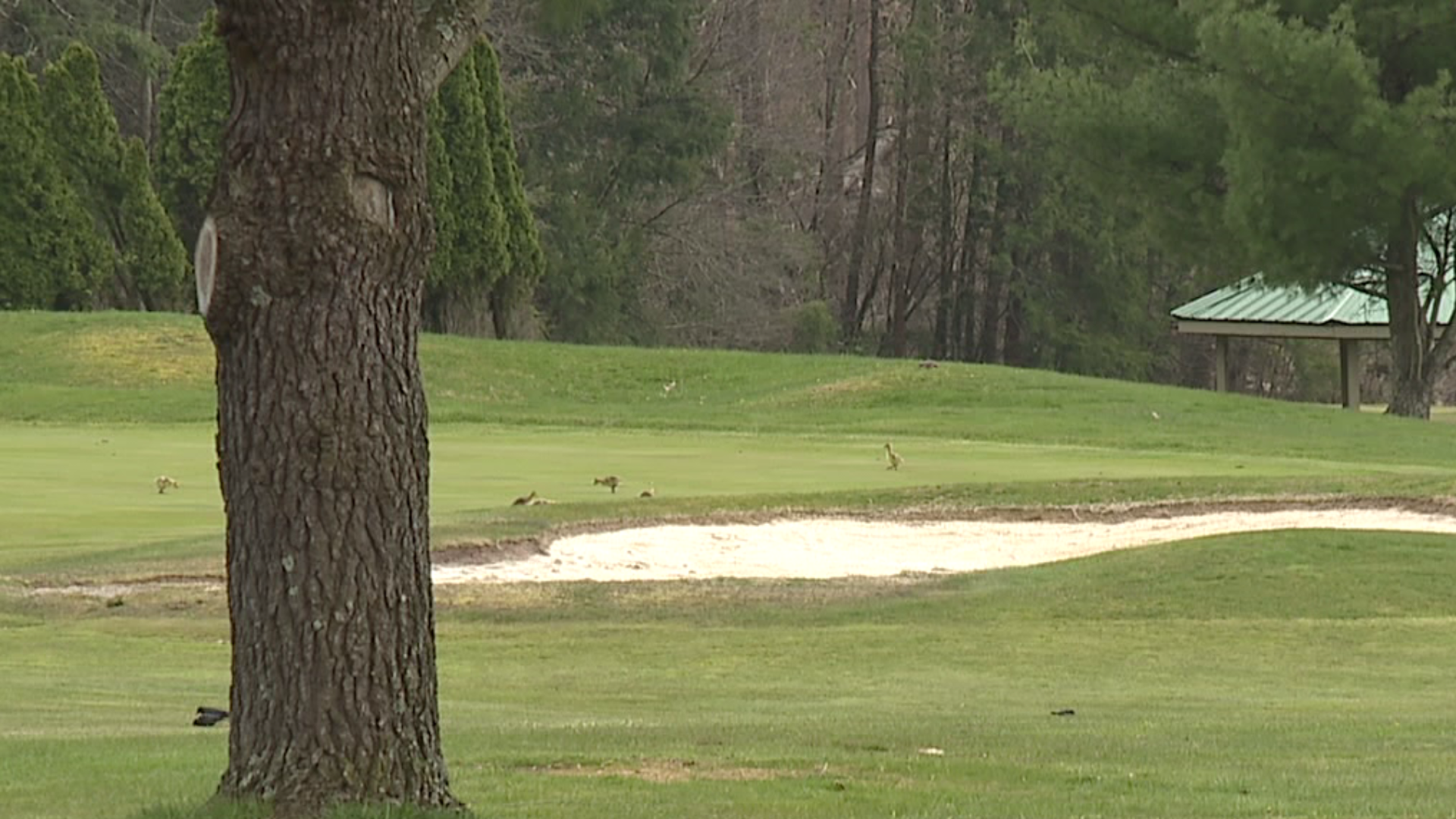 One local golf course prepares to open after surviving a tornado and now a pandemic.
