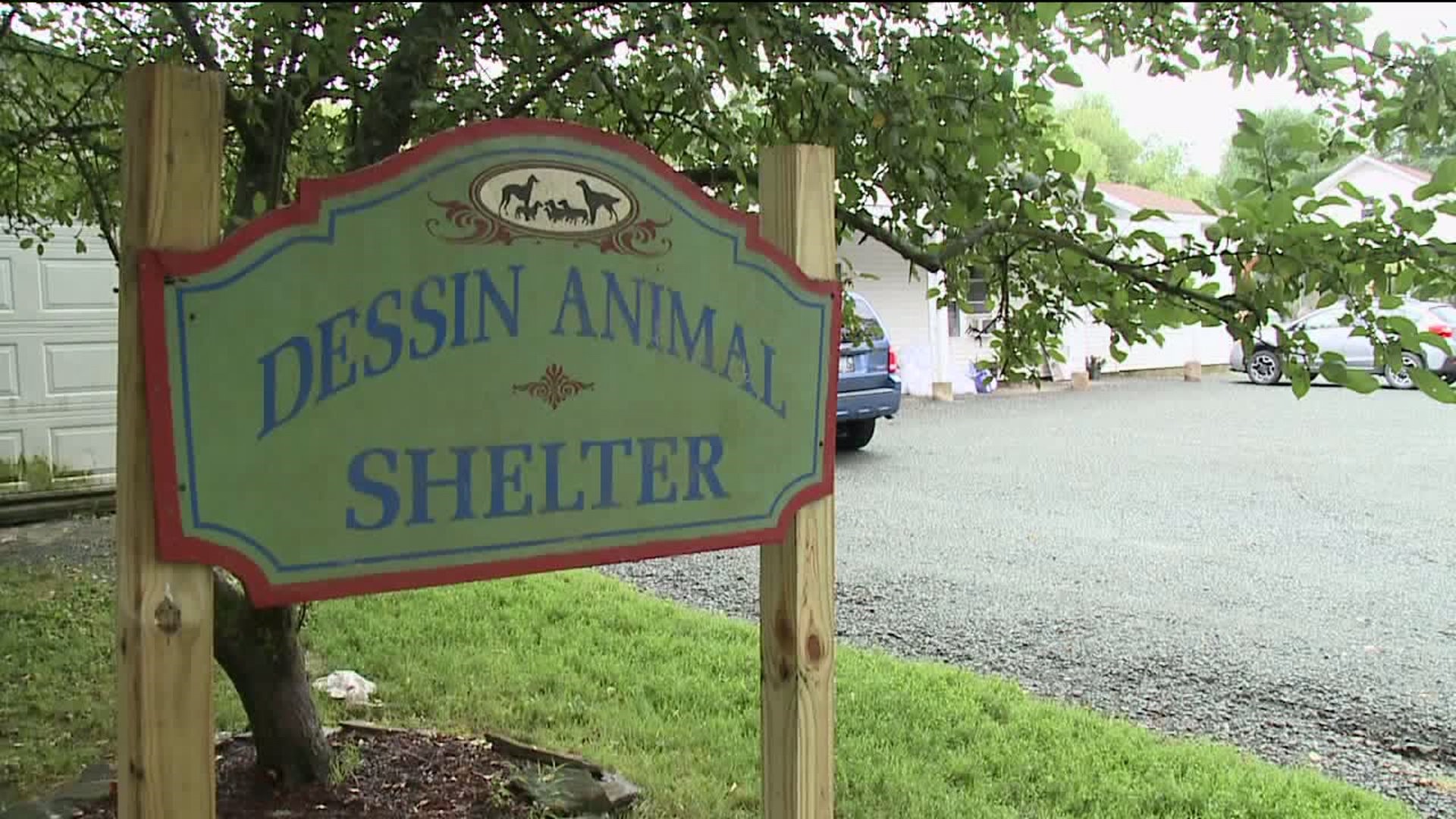 Workers, Volunteers Sprucing Up Dessin Animal Shelter