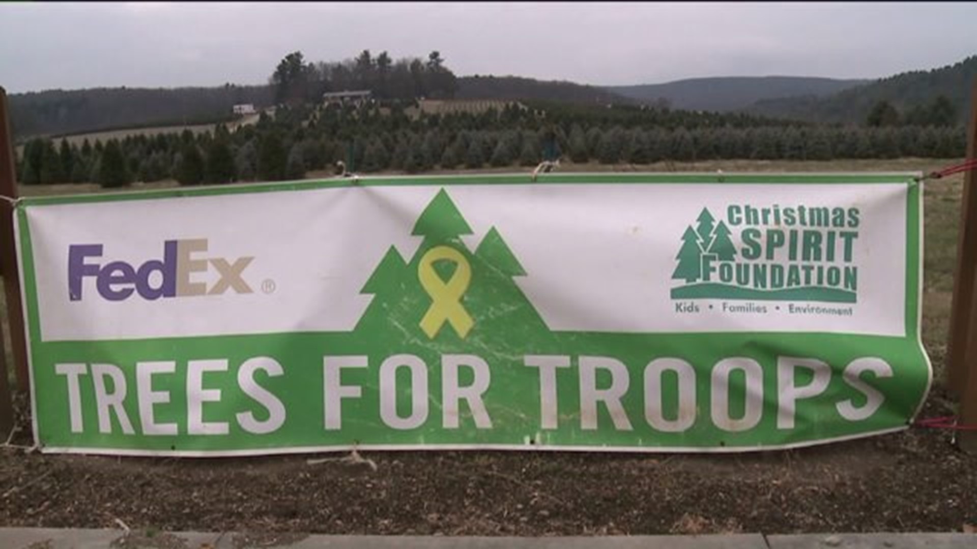 Sharing The Spirit: Trees For Troops