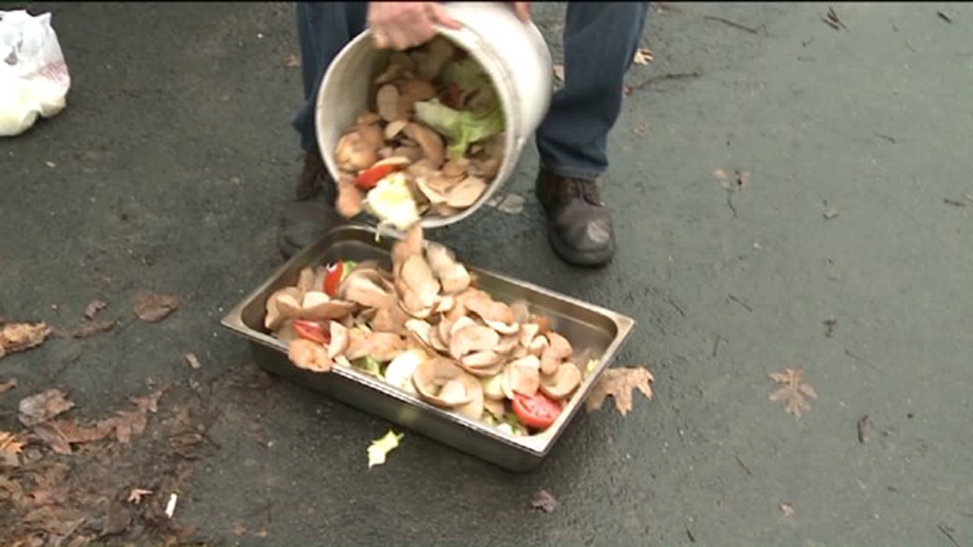 Students Strike Paydirt in Pottsville