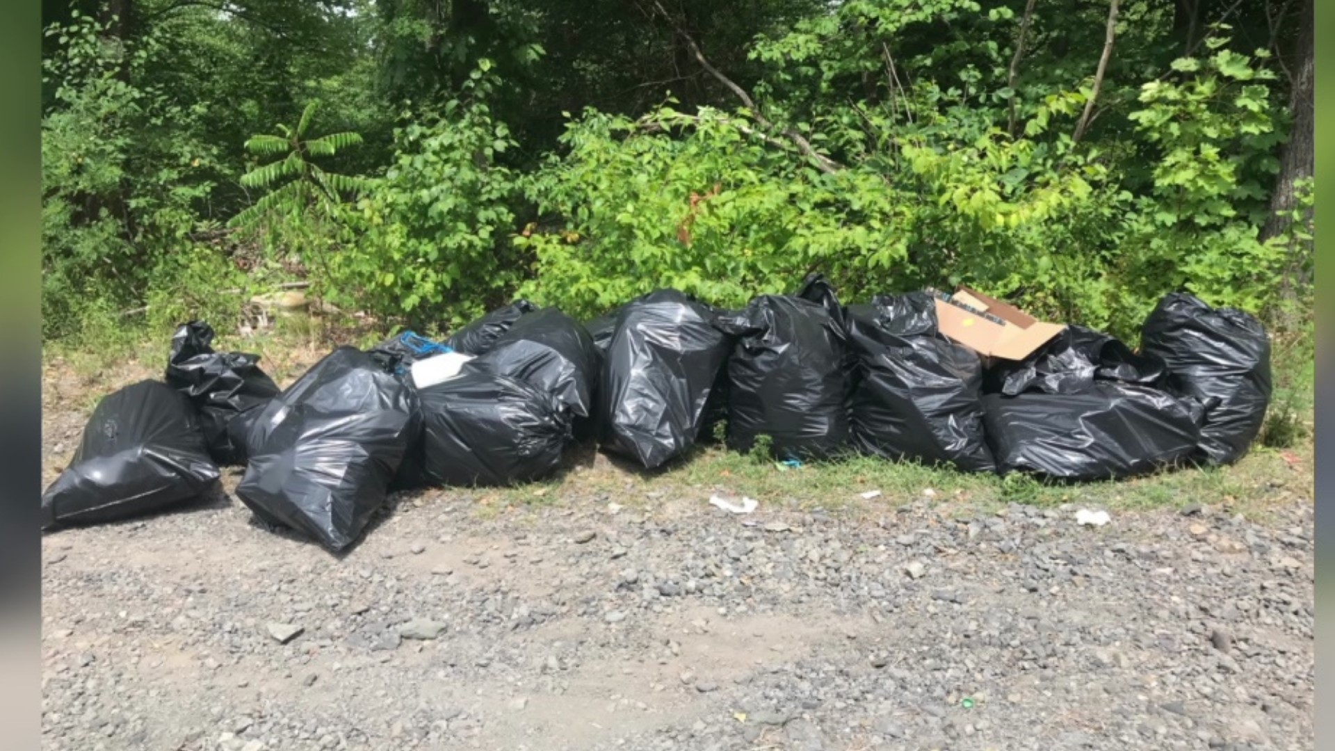 An ongoing trash problem on East Northampton Street in Laurel Run has one group calling on the community for help in an effort to prevent this from happening again.