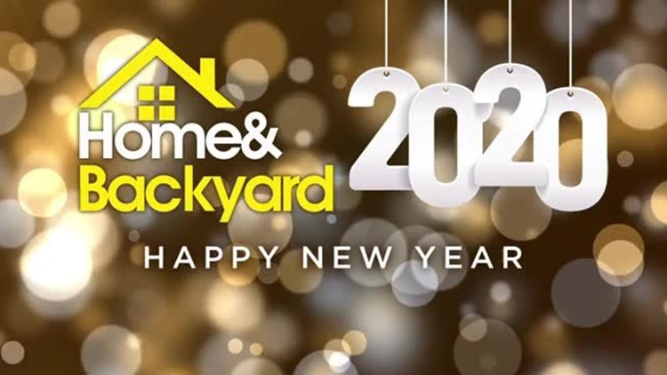 Home Backyard Wnep Com