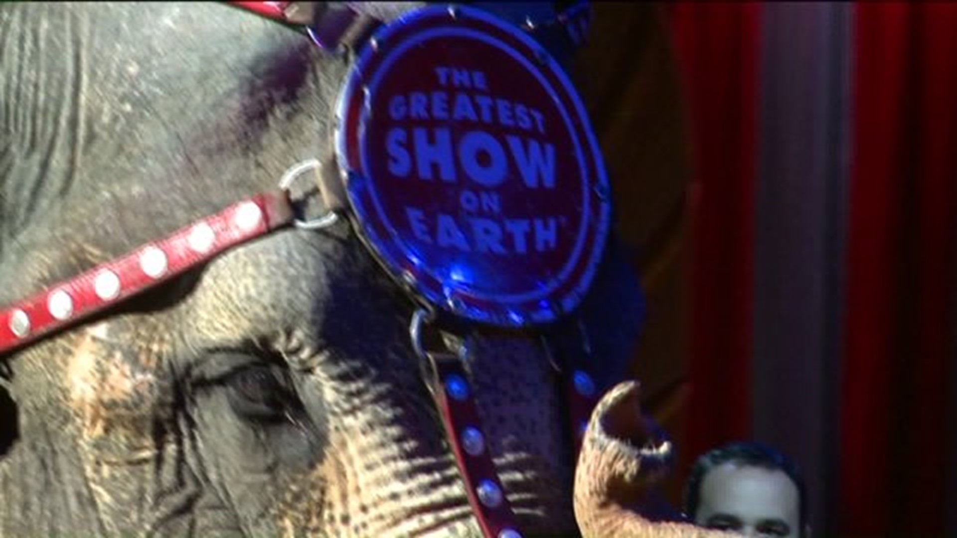 The Final Curtain Call For Ringling Elephants