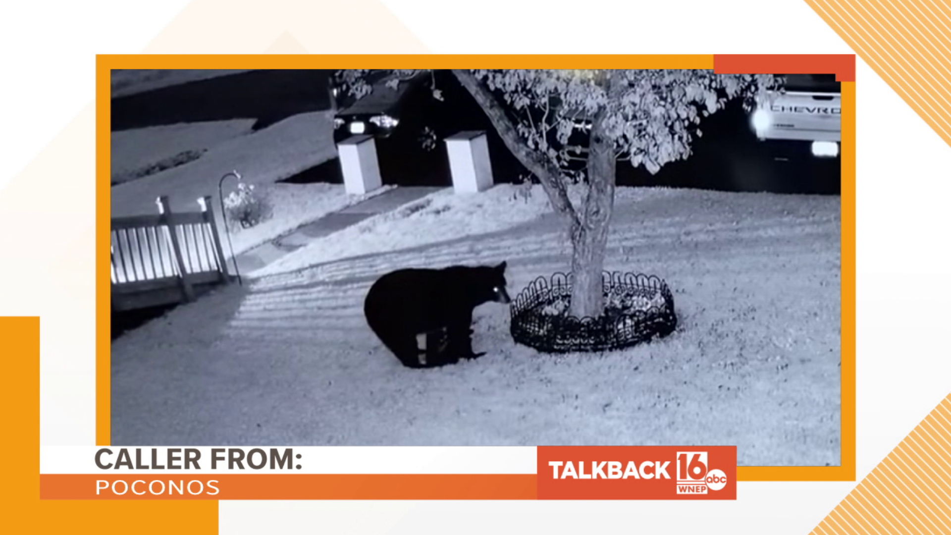 Callers had a lot to say about a recent bear attack in Carbon County.