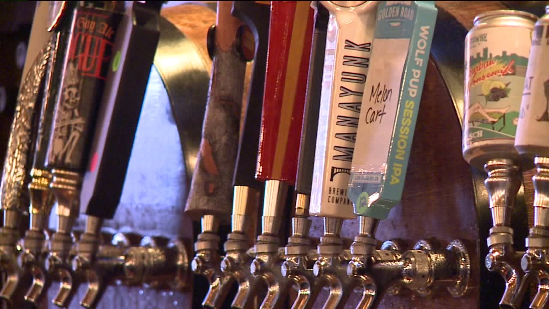 Beer Festival Raises Money to Spruce up Downtown Lehighton