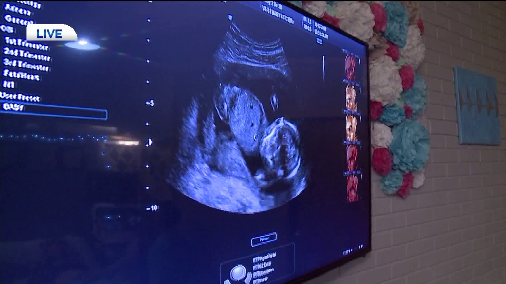 Baby's Big Debut: High Tech Gender Reveal Facility Opens in Luzerne County