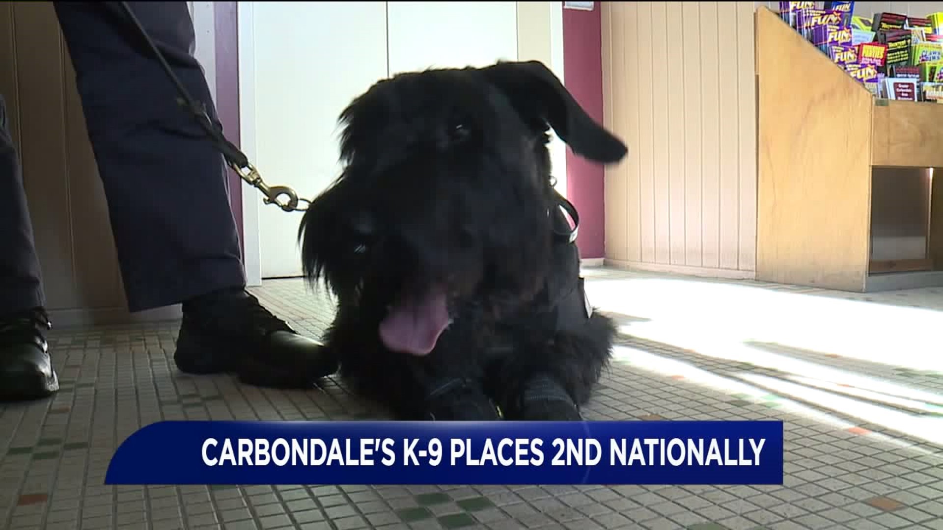 Carbondale K-9 Places Second in National Contest