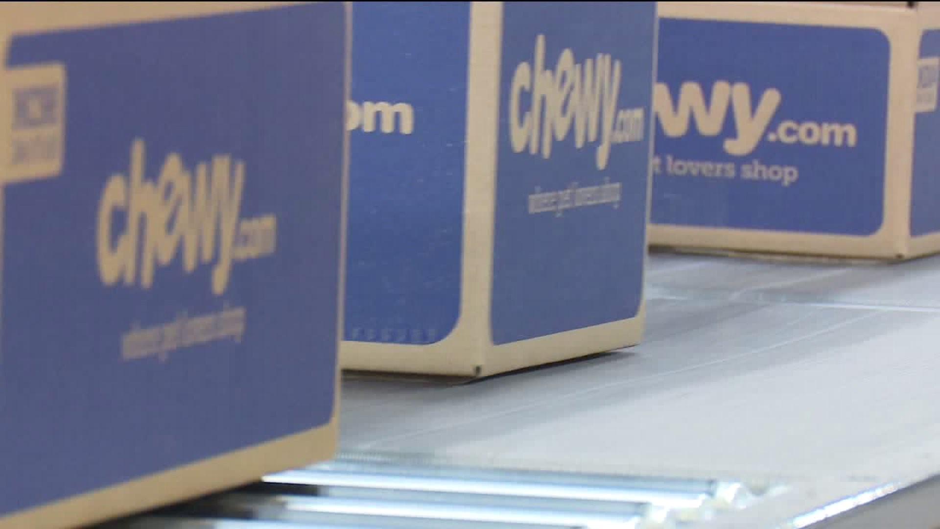 Chewy.com Adding Jobs in Luzerne County