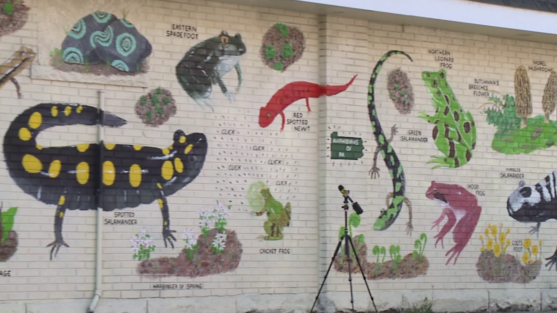 Street art is not only brightening up communities, but in some cases helping local business.