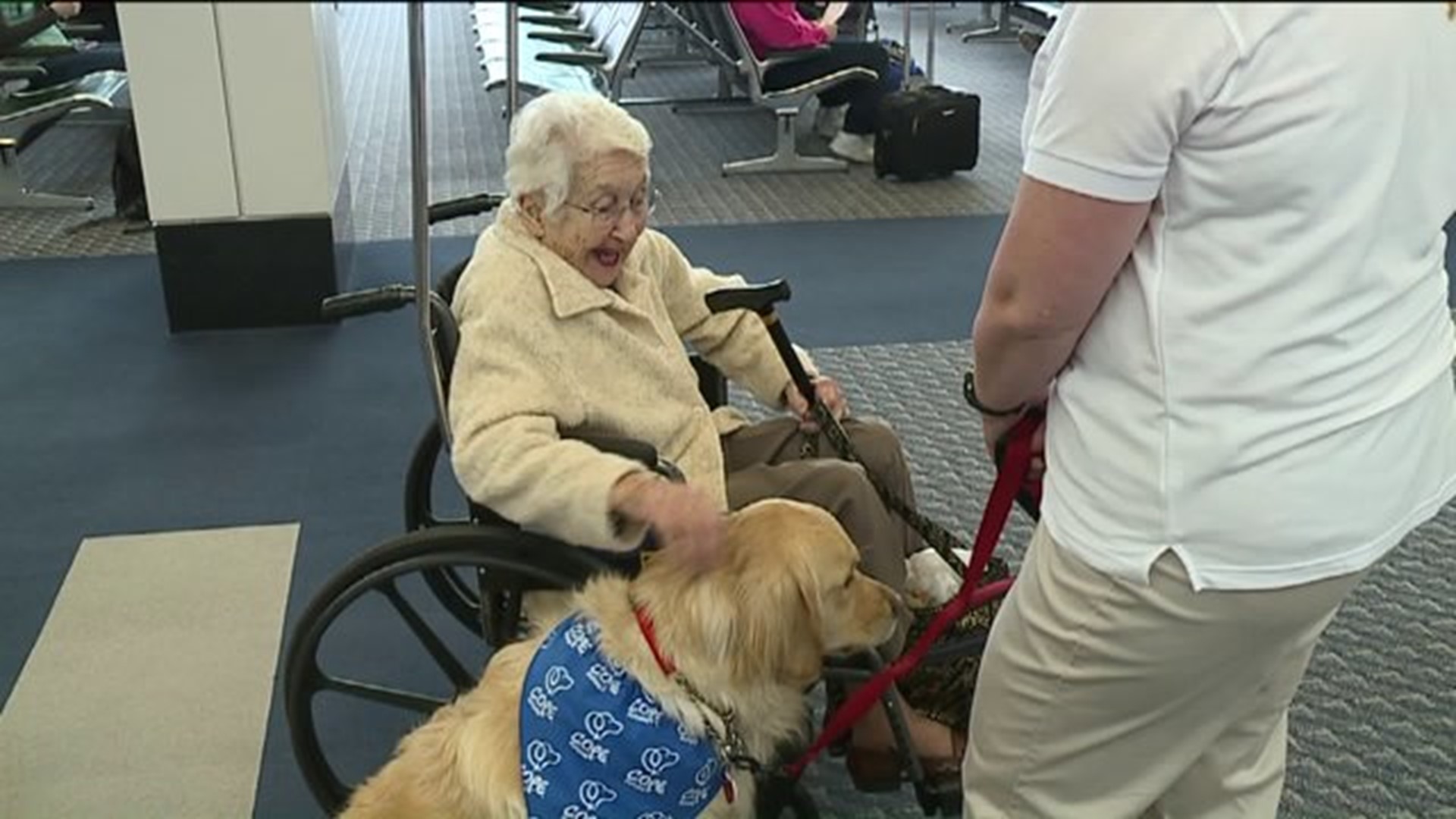 Dogs Help Flyers COPE at Lehigh Valley Airport
