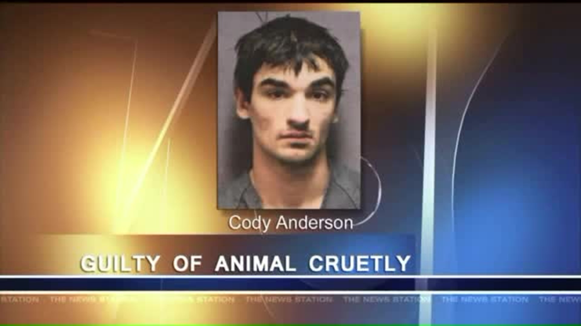 Man Who Killed Dogs Sentenced to Jail