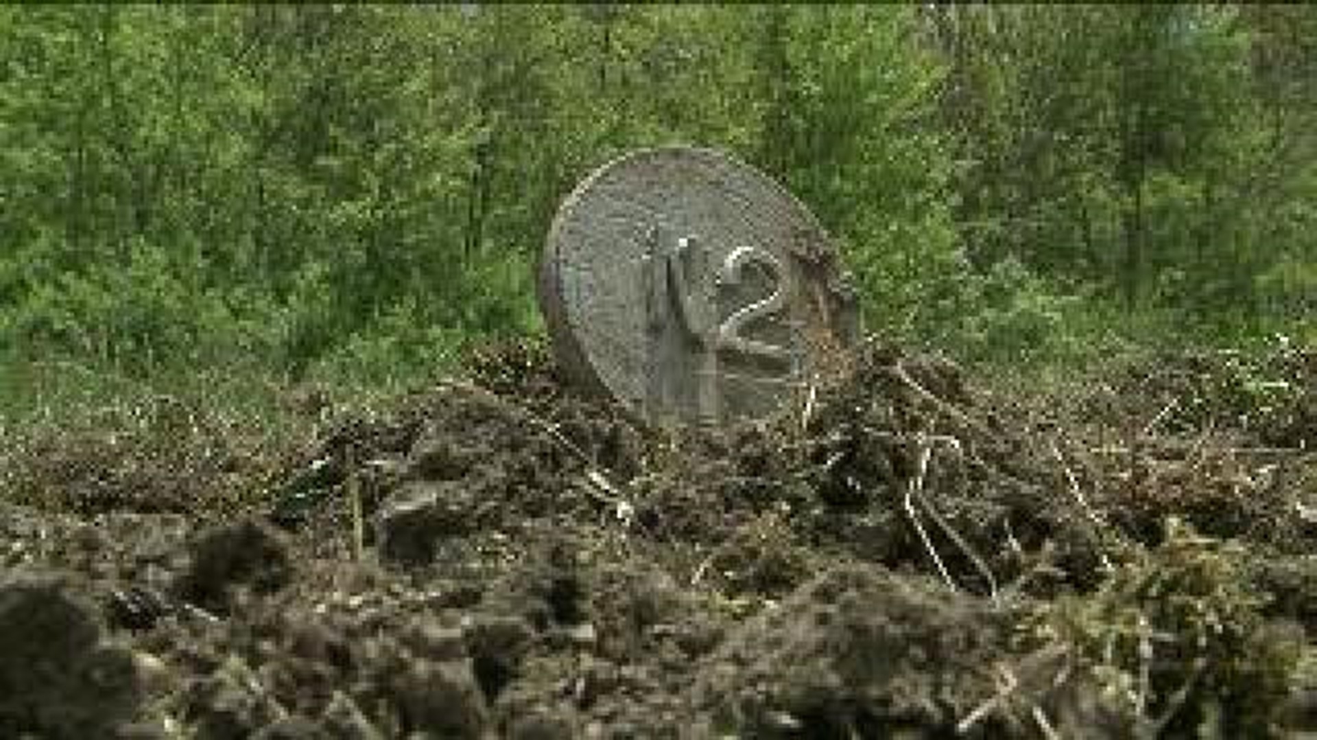 Cemetery Damaged by Vandals