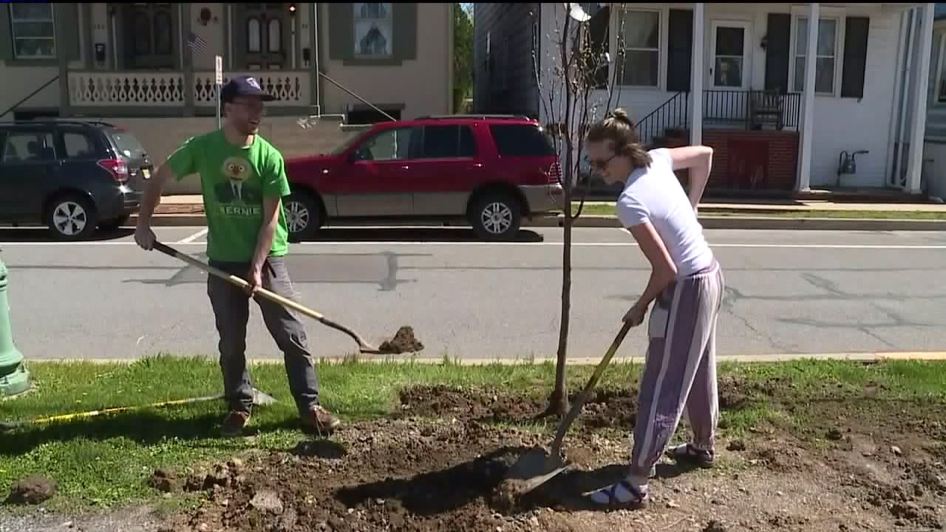 Trees Planted for Arbor Day in Lewisburg