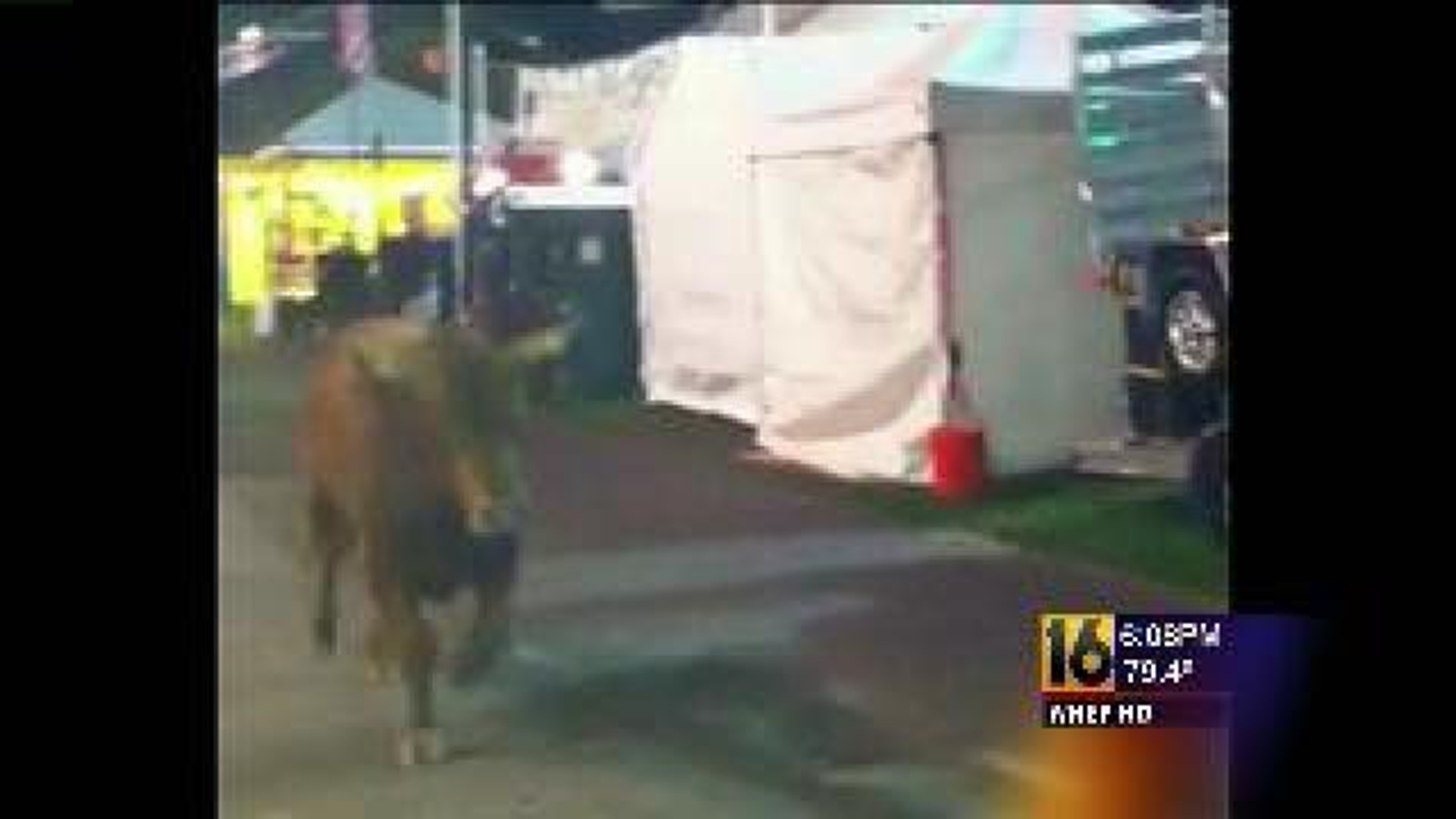Woman Run Over by Bull at Fair Speaks Out