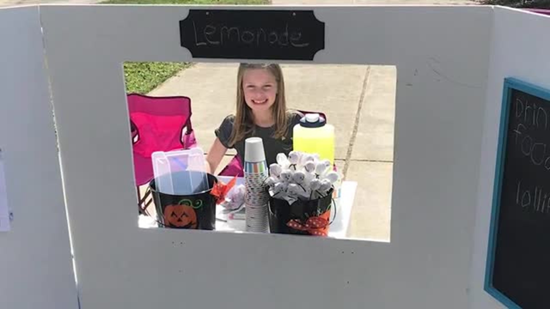 Nine Year Old Raises Enough Money to Buy 108 Thanksgiving Meals and Turkeys for Families in Need