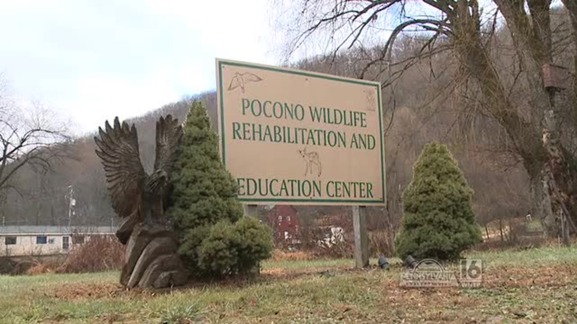 Pocono Wildlife Rehabilitation and Education Center in the Poconos is asking for donations after an unexpected septic problem popped up on the property.