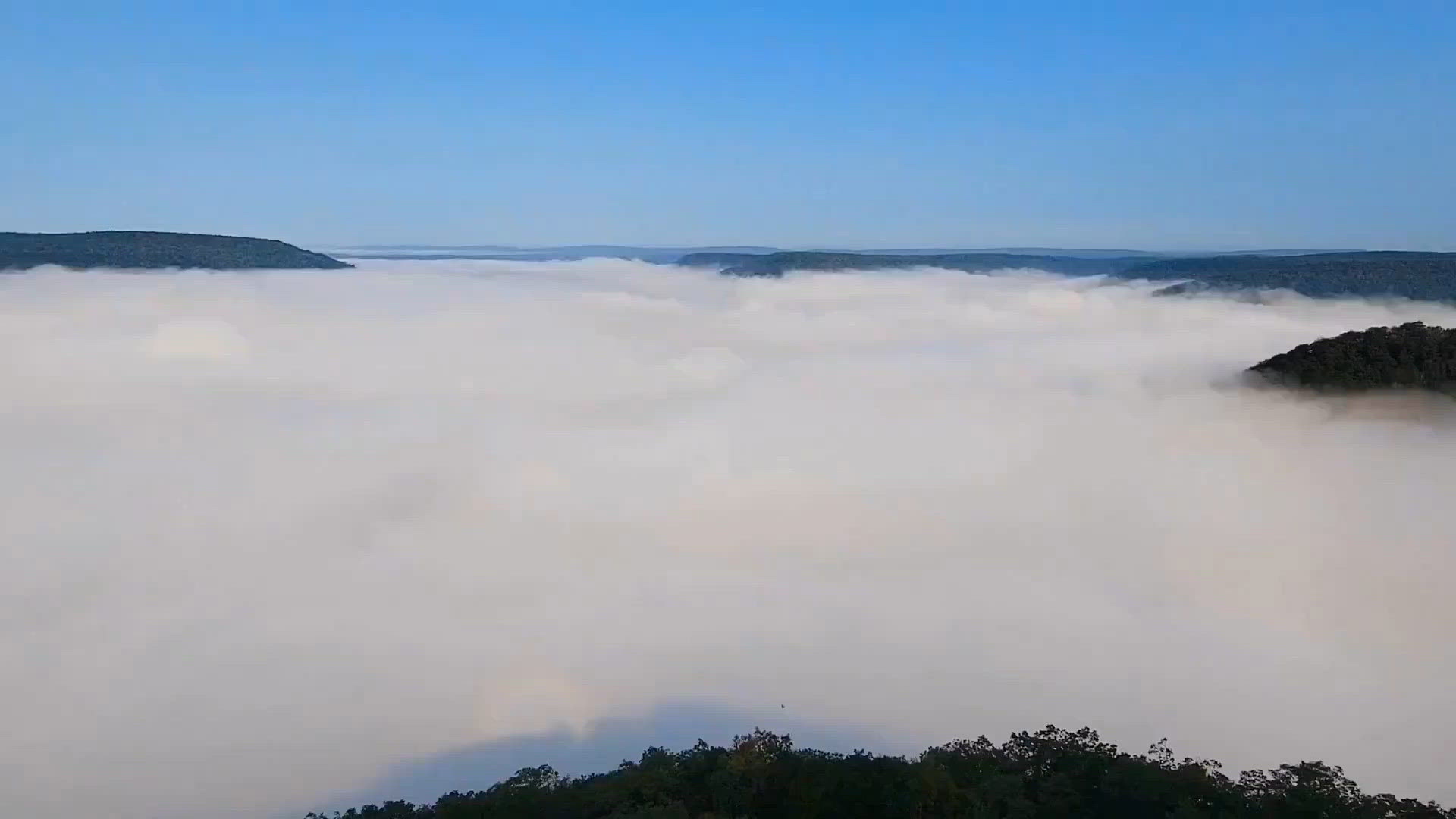 Hyner View State Park is spectacular as the heavy morning fog lifts, revealing the beautiful valley below.
Credit: Christine Allen