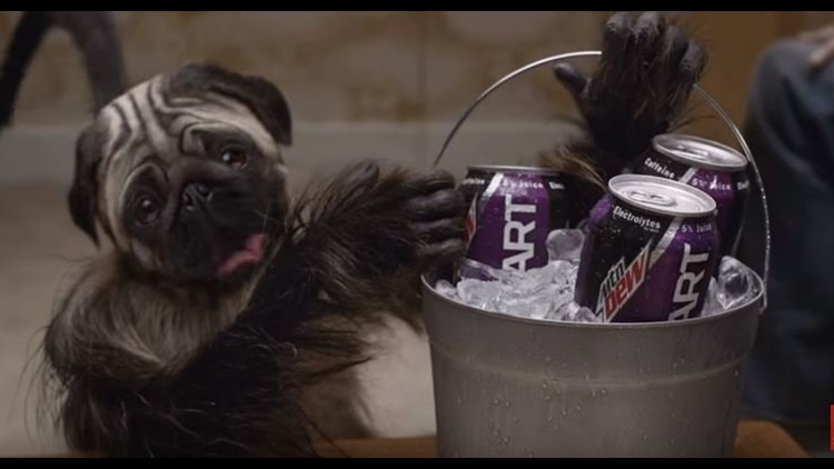 Mountain Dew S Puppy Monkey Baby Commercial Scares Super Bowl Viewers Wnep Com