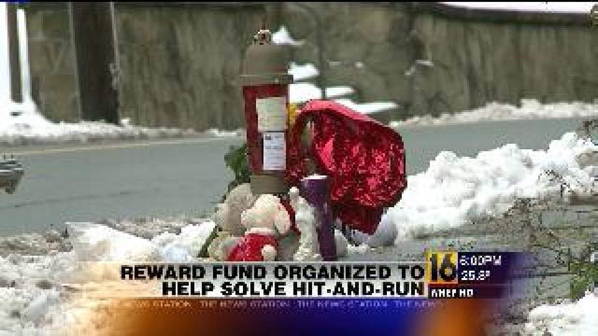 Businesses Start Reward Fund to Help Police Find Hit-and-Run Driver