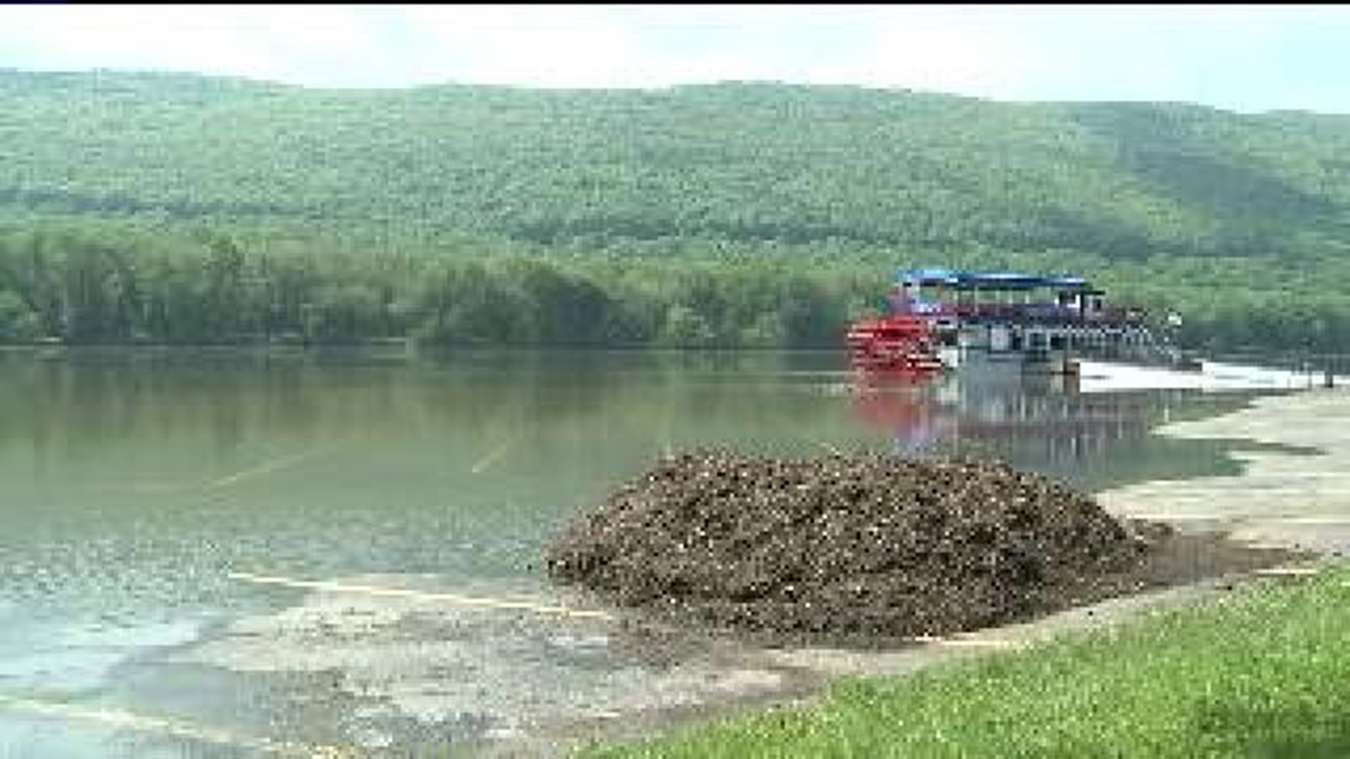 Hiawatha Boat Tours Cancelled for Saturday