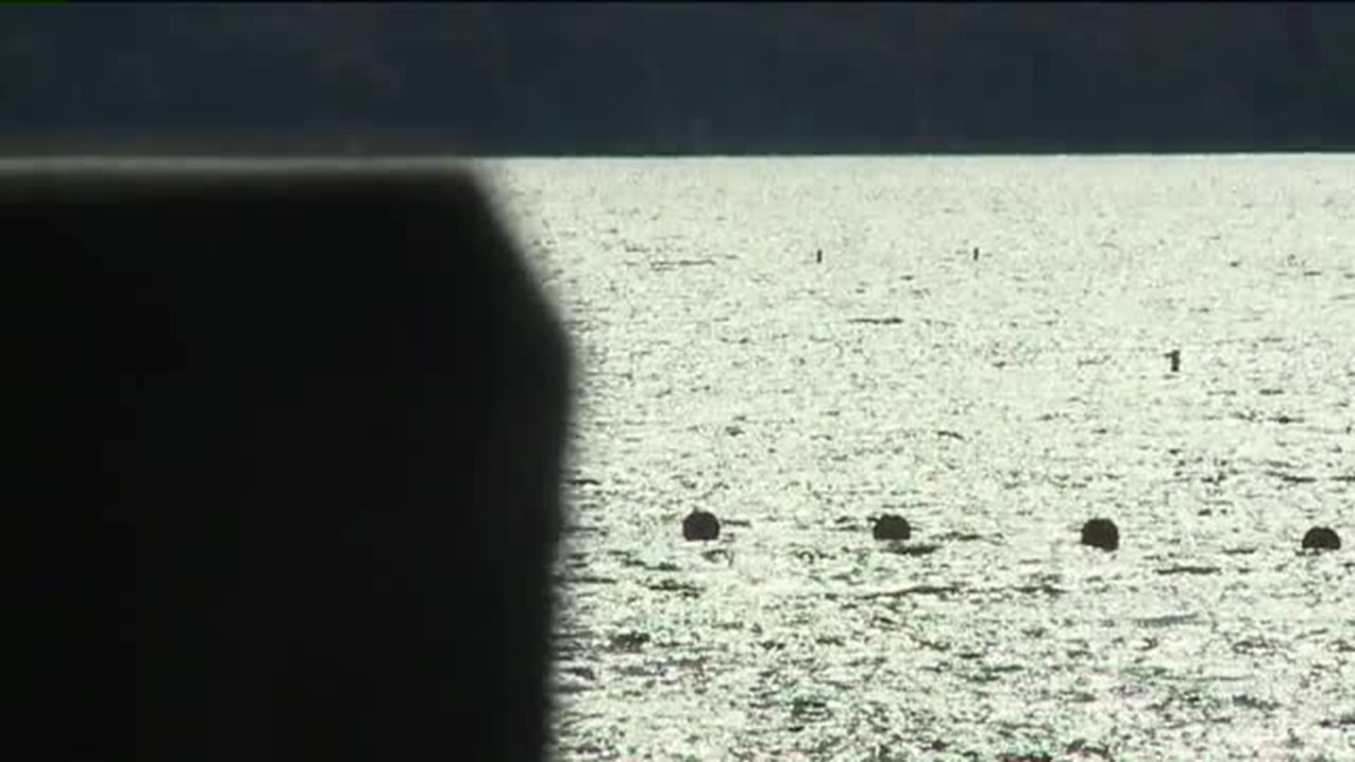 Life Jacket Required: New Rules for Boaters