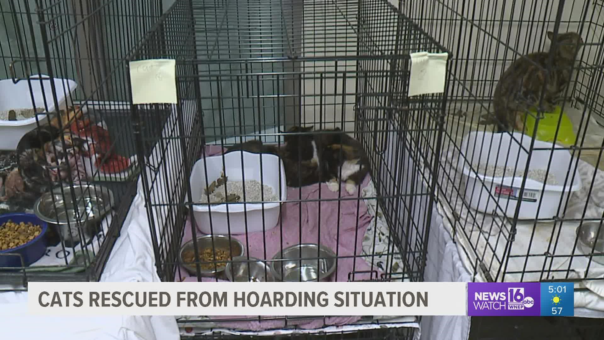Officials at Griffin Pond Animal Shelter near Clarks Summit are asking for help caring for dozens of cats they took in on Thursday.
