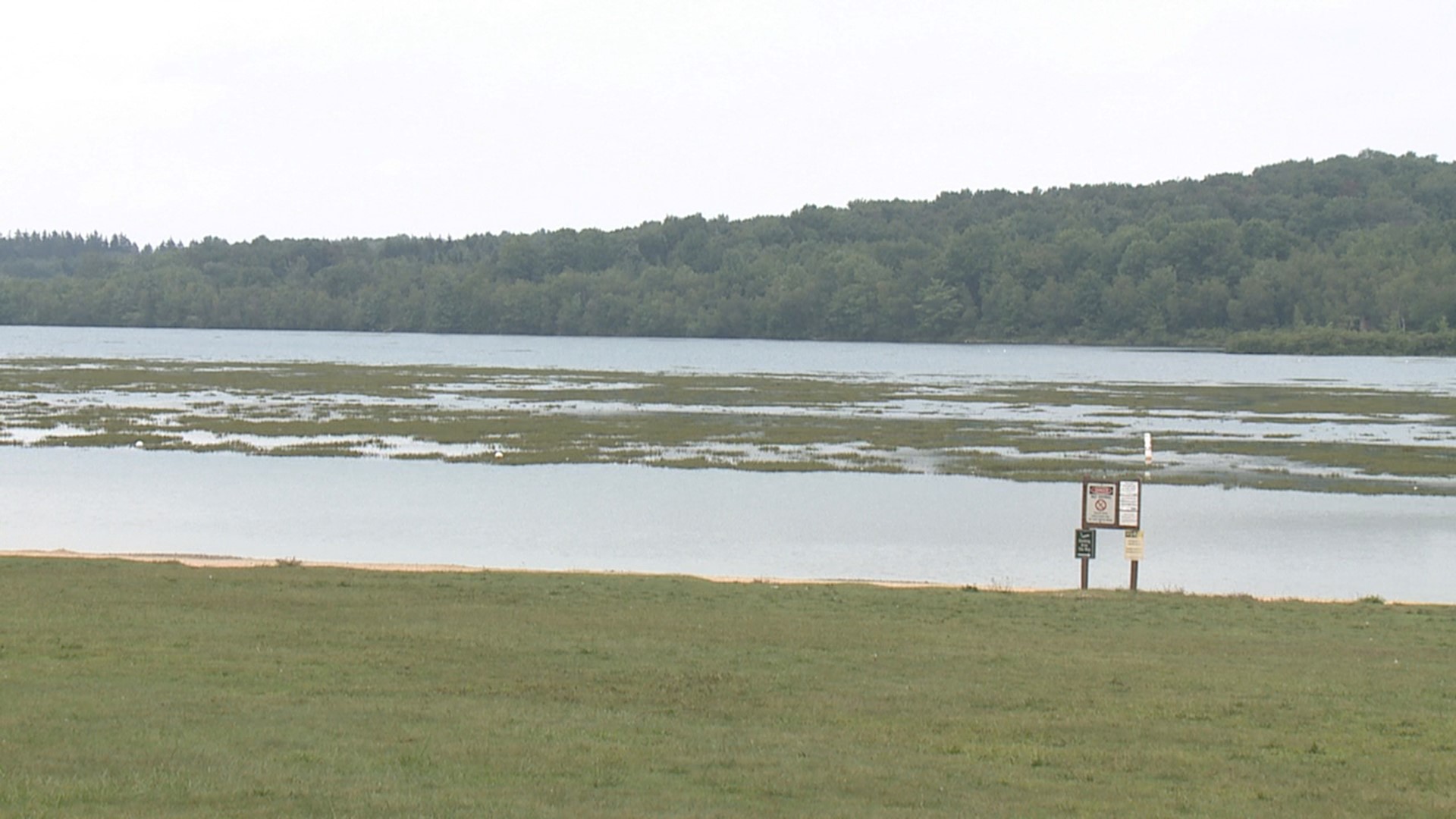 Samples were taken from the plant growing on the lake to determine if it is invasive or not.