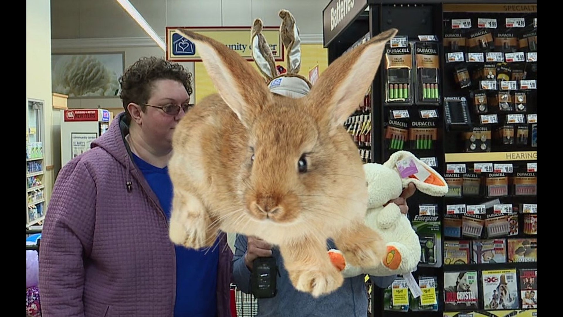 Wham Cam: Big Bunny Ears?