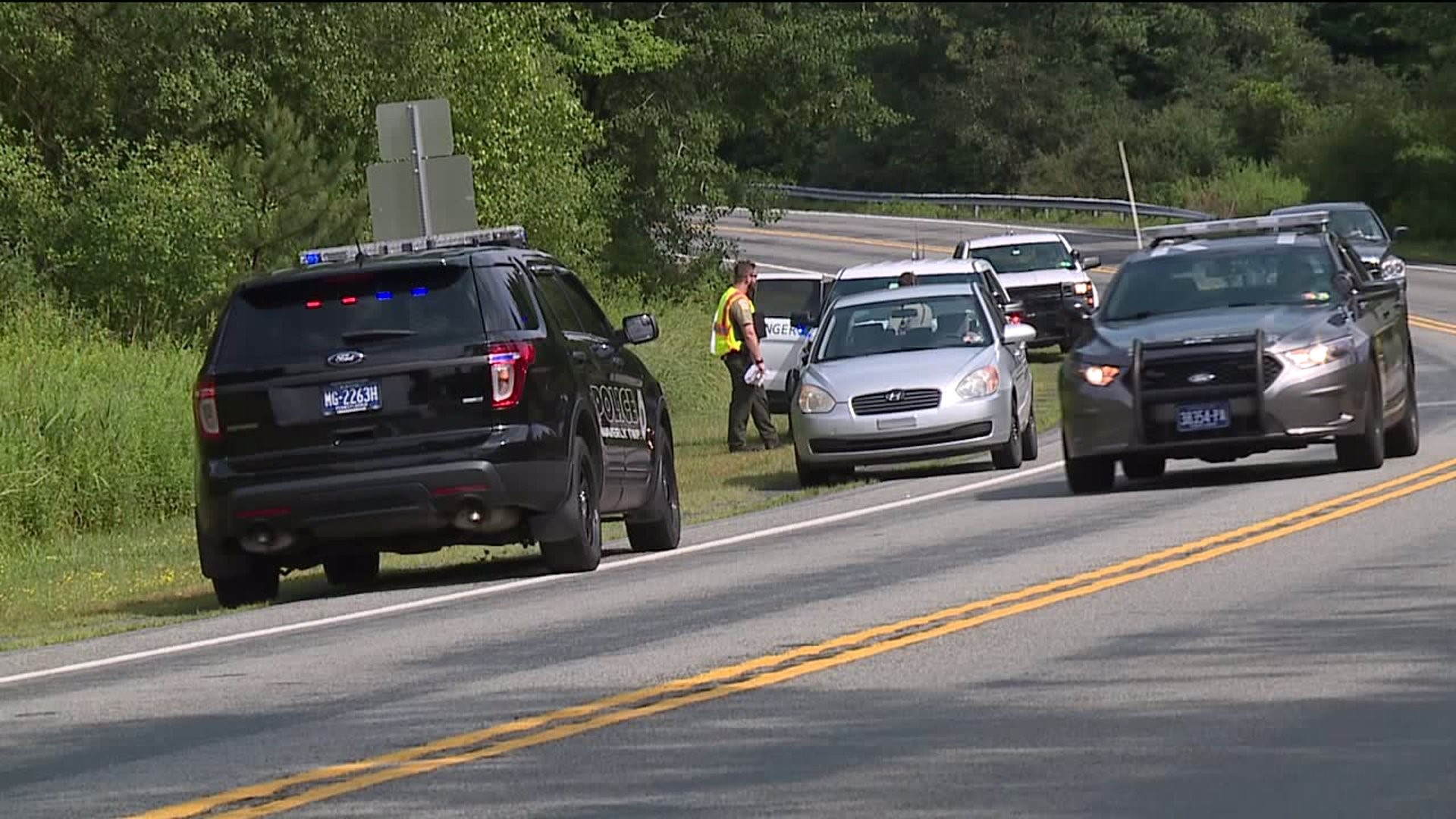 Jogger Hit by Vehicle in Lackawanna State Park