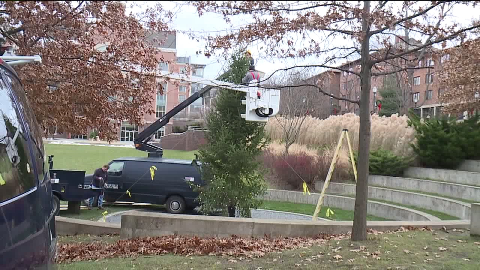 Campus Christmas Controversy: `Charlie Brown Tree` at University of Scranton