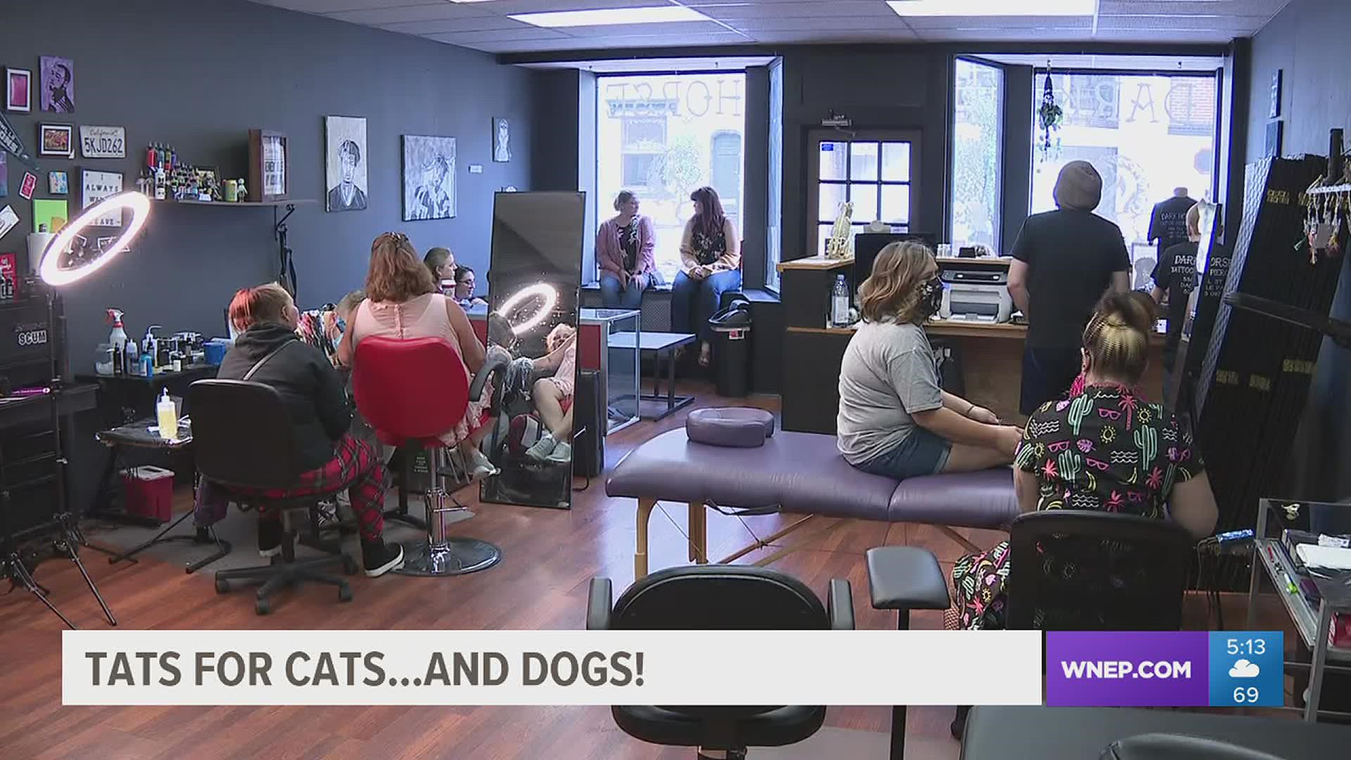 A tattoo shop in Danville is teaming up with the Animal Resource Center in Millville to raise funds for furry friends.