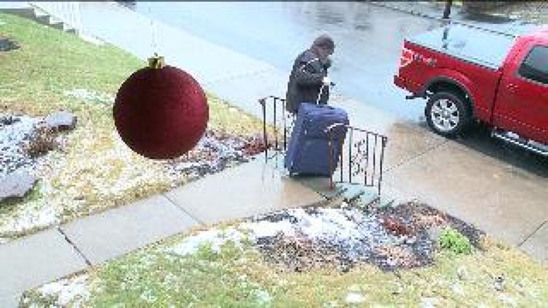 Suitcase Allegedly Stolen From Autistic Child