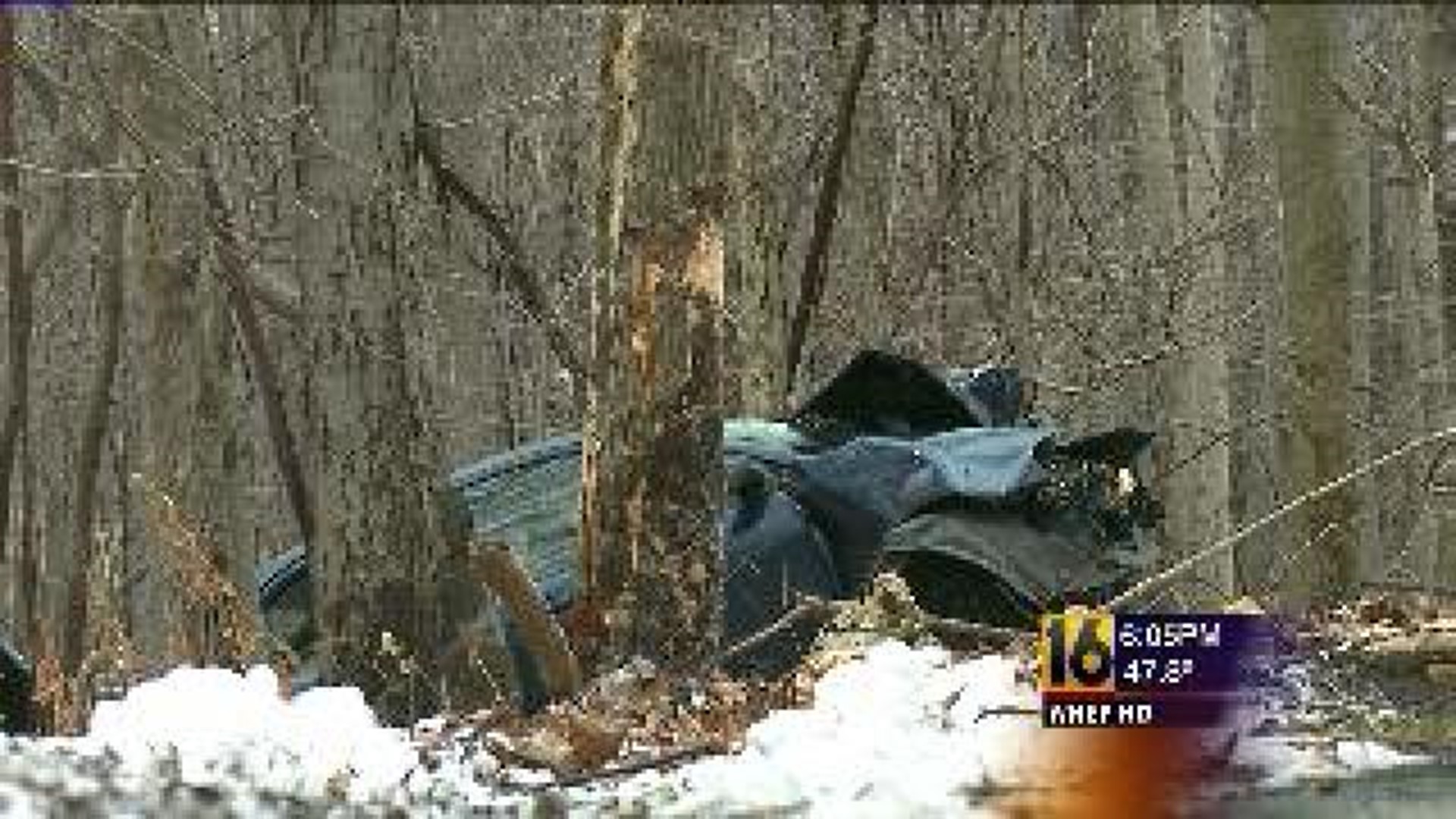 Driver Killed, Hit Tree Head-on
