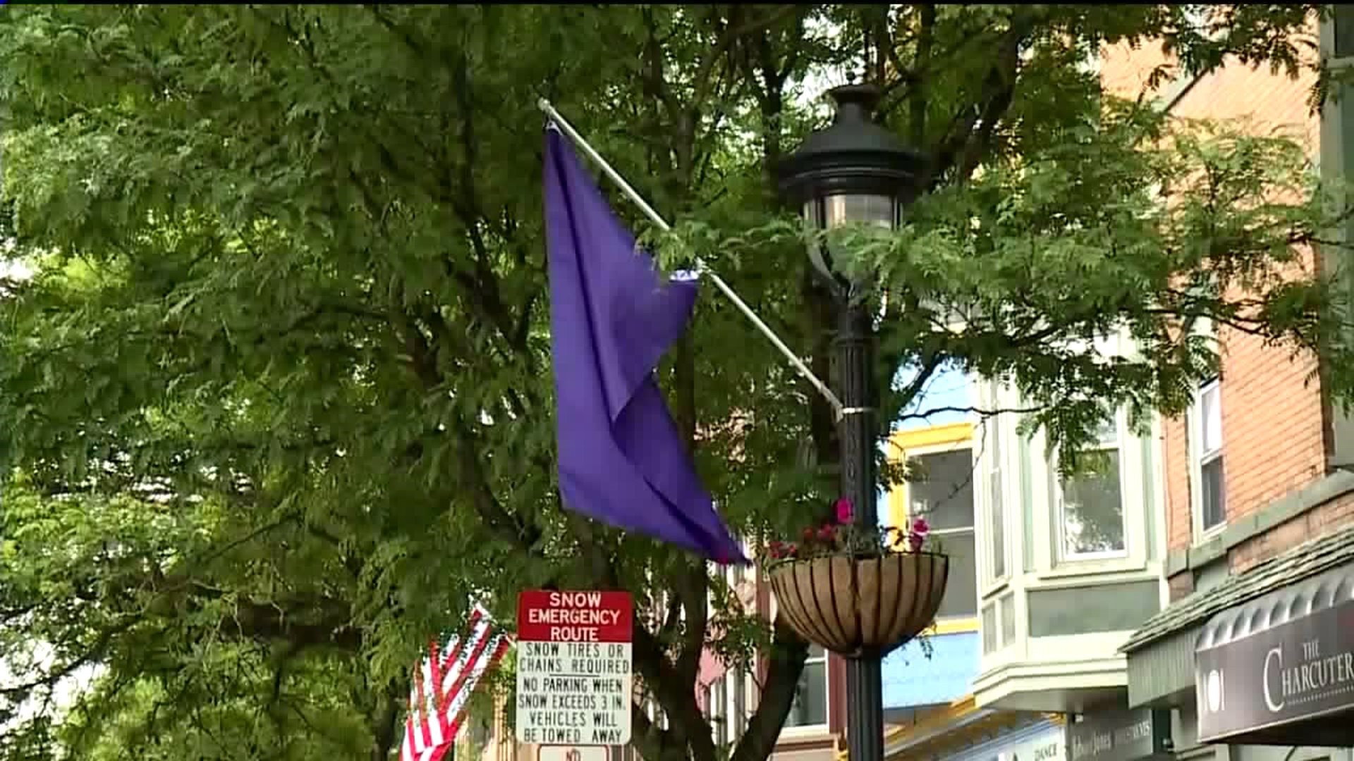 Purple Flags Popping Up in Downtown Stroudsburg