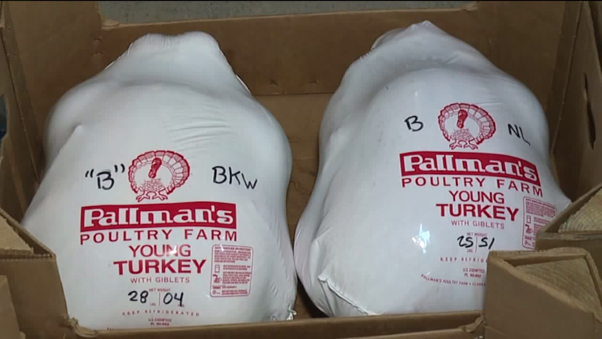 Turkeys Flying Out Door Before Thanksgiving