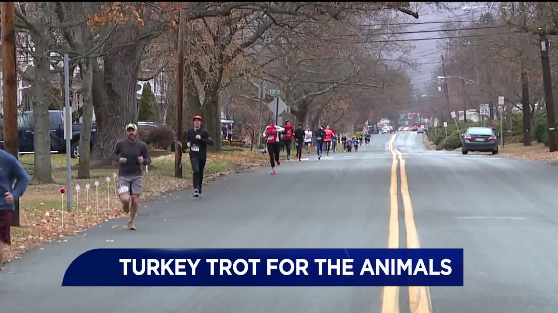 Turkey Trot for the Animals