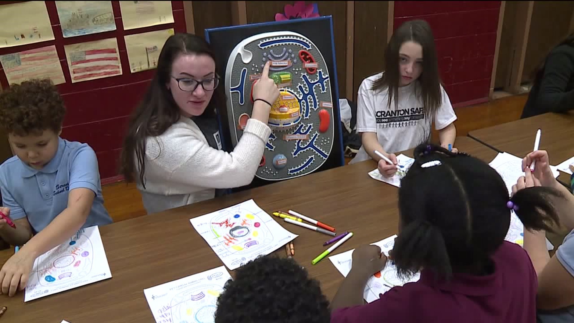 Hands-On Science Lessons In Scranton