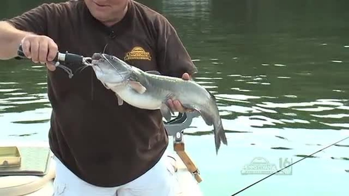 Lake Wallenpaupack Catfishing