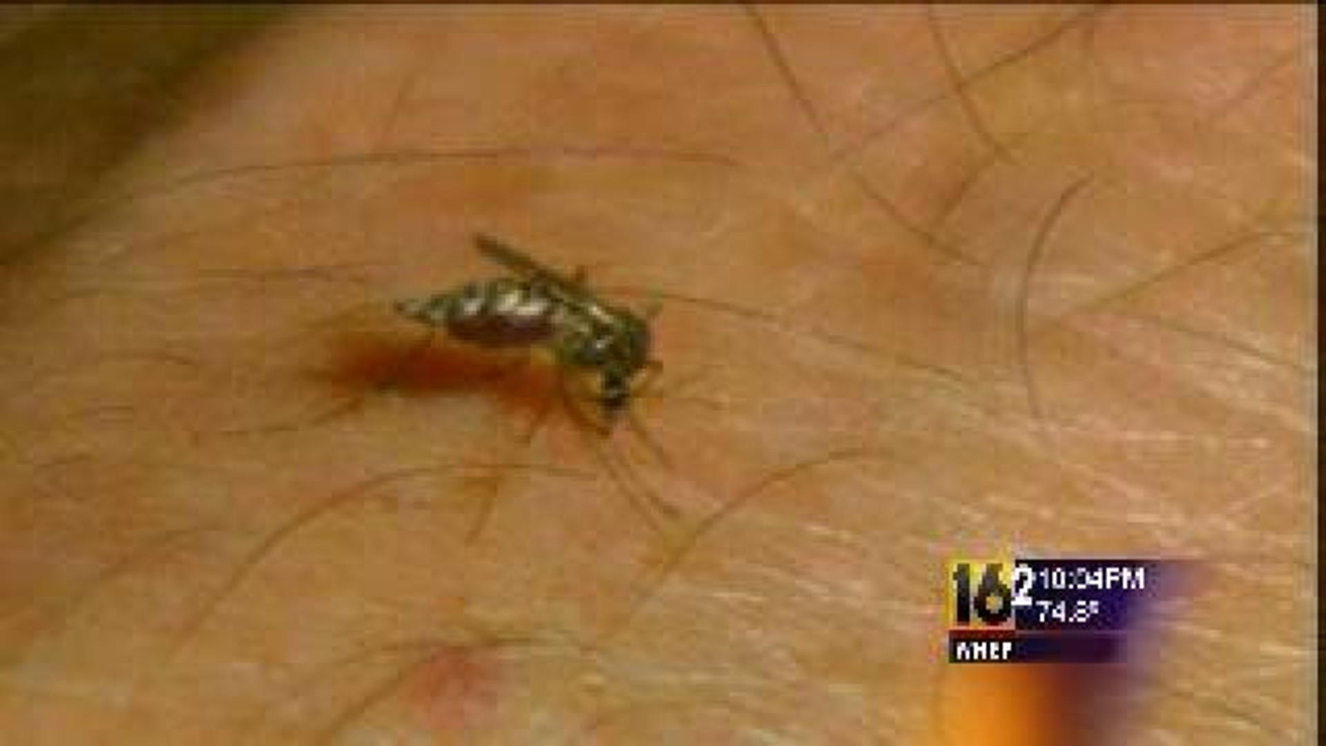 Experts Warn About West Nile Virus