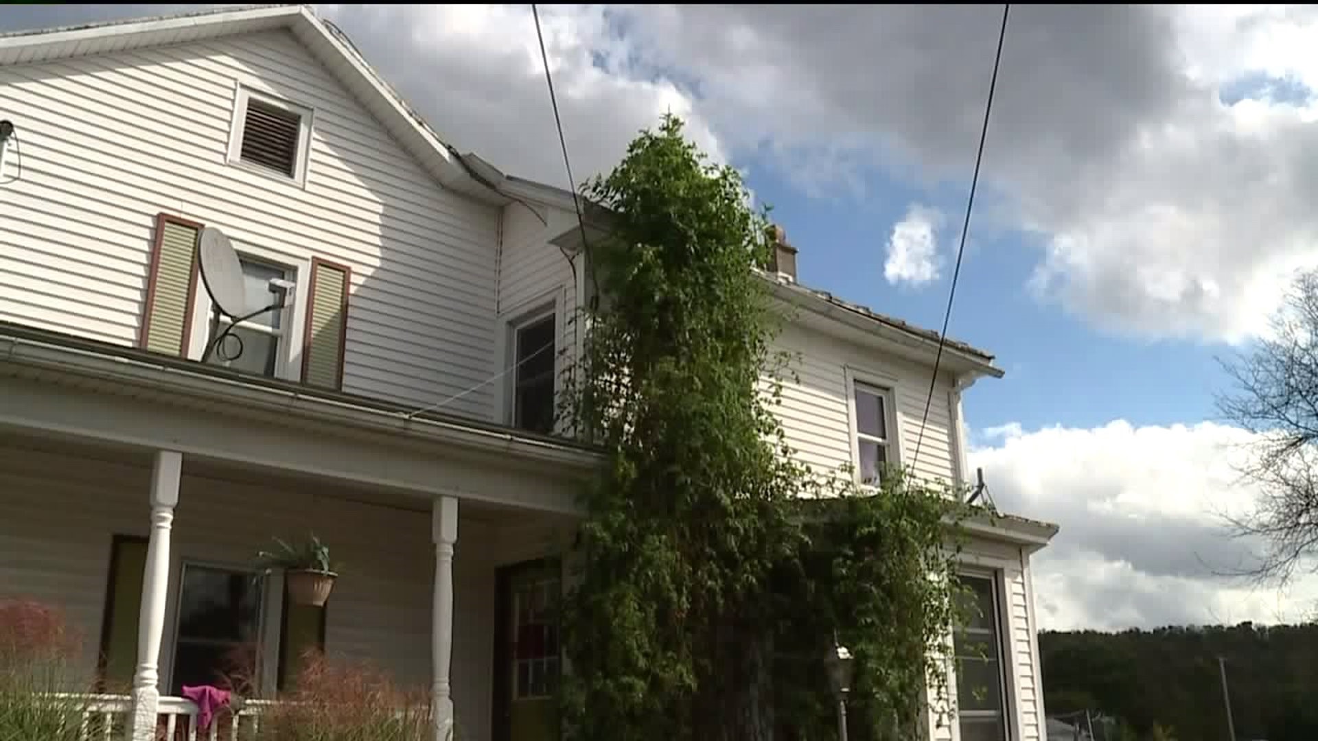 Two-Story Tomato Plant Towers over Columbia County Family