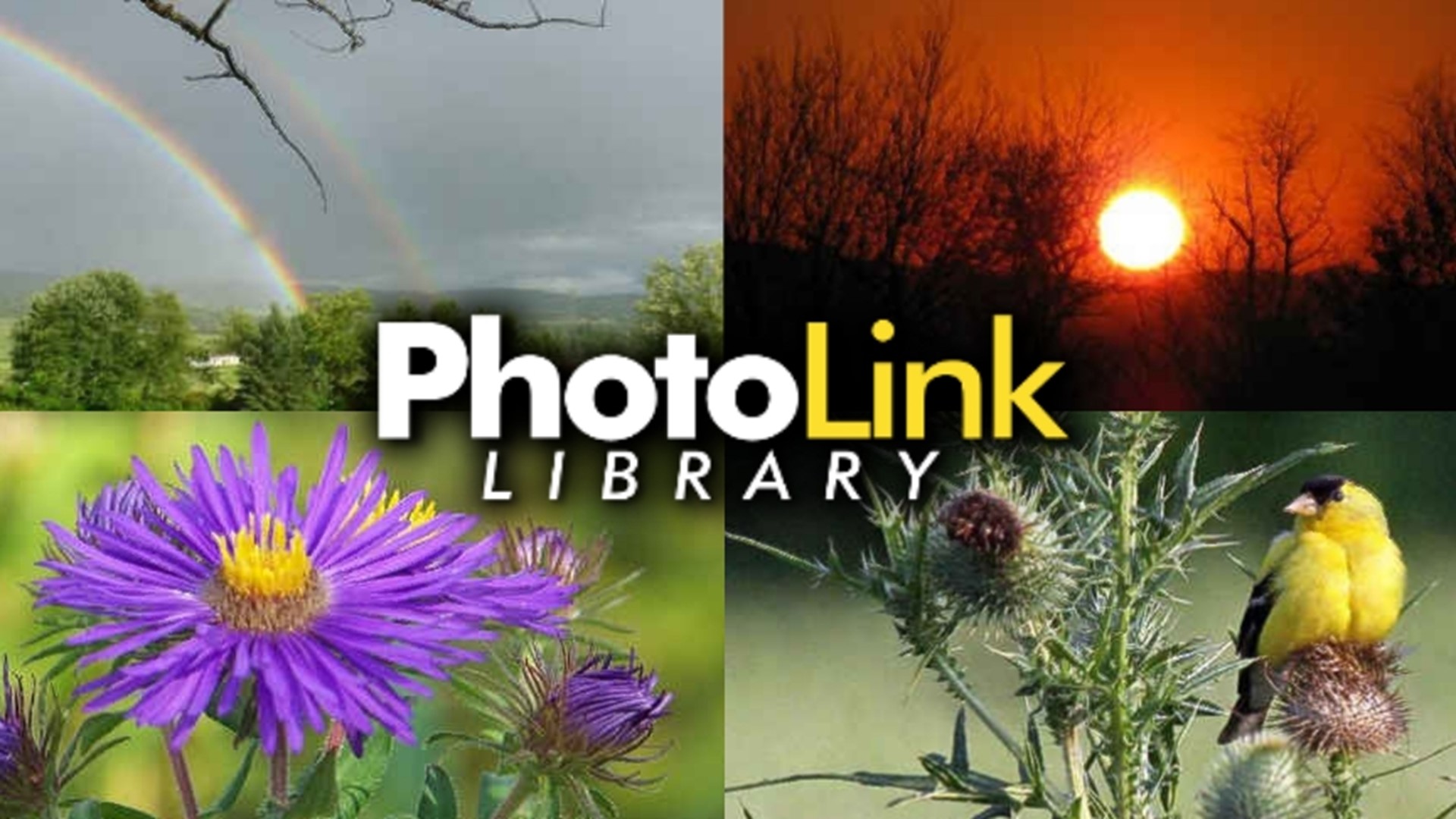 A good picture can be had day or night. See it, capture it, send it on into the PhotoLink Library.