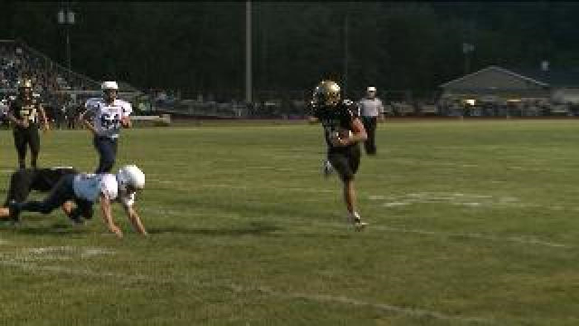 Mahanoy Goes for Five Golden Wins