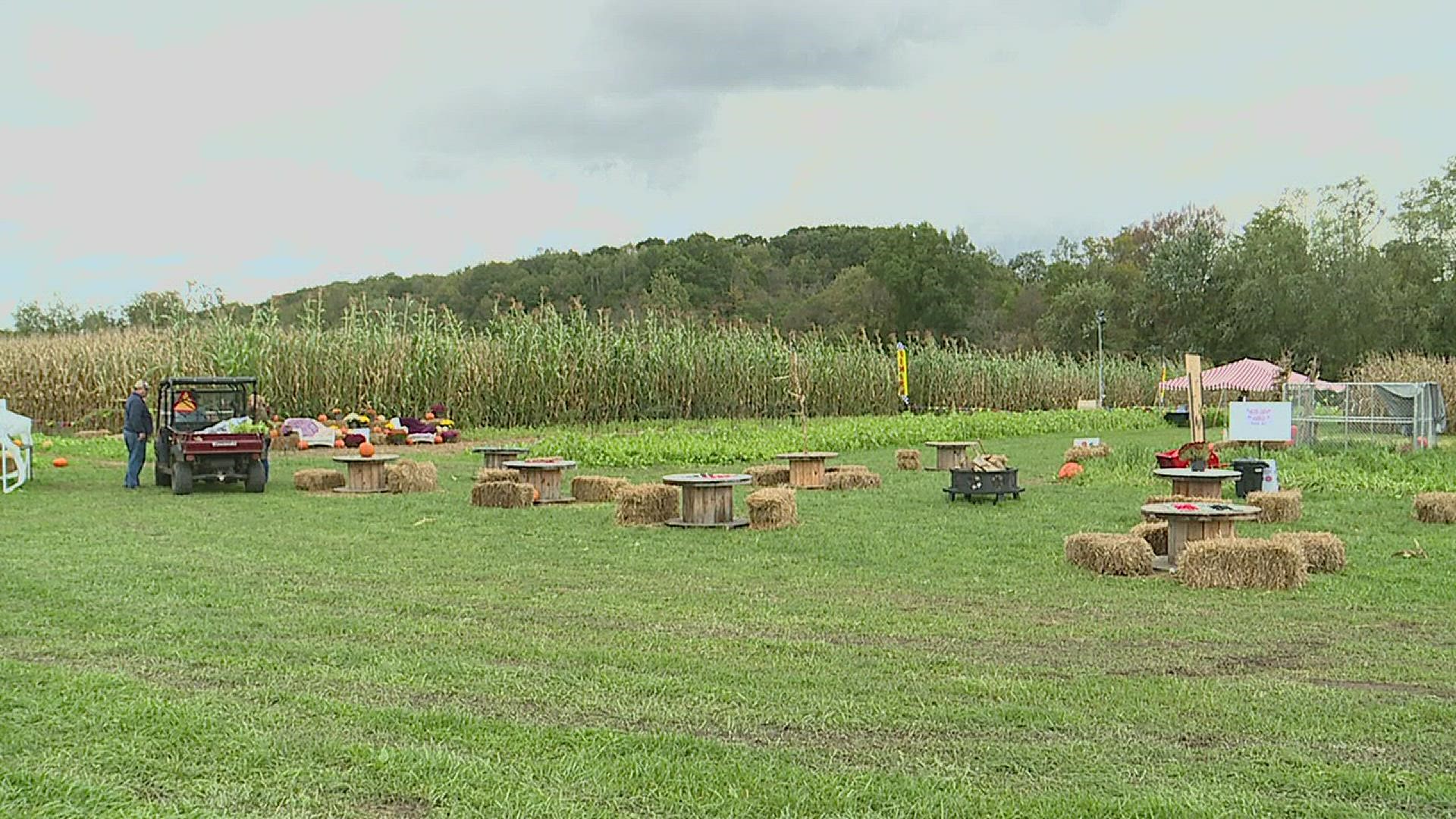 A brand new 10-acre corn maze recently opened up in Clinton County.