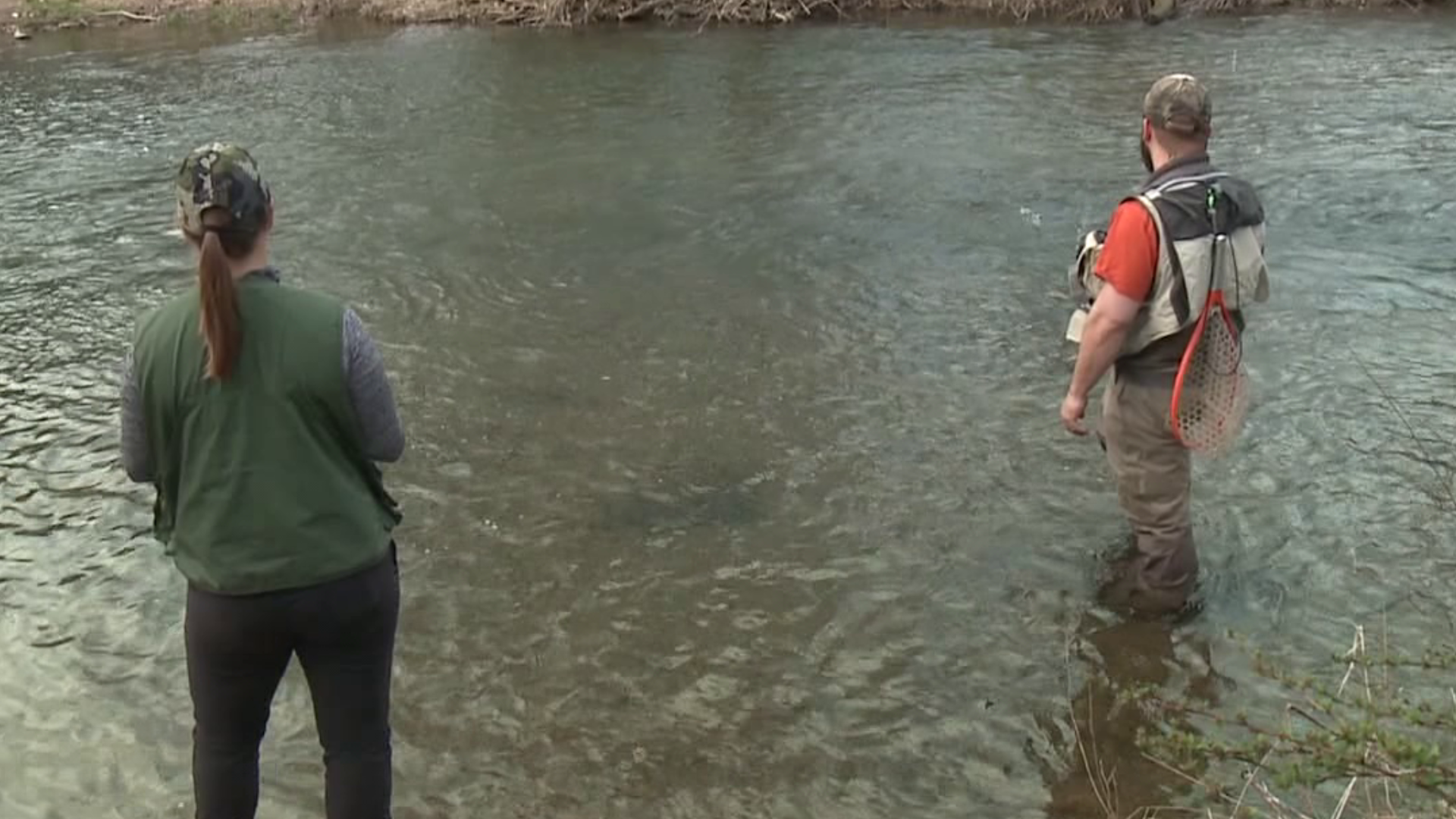 State Fish and Game Commission wanted to surprise anglers and discourage big crowds from gathering together on what is traditionally opening day for trout season