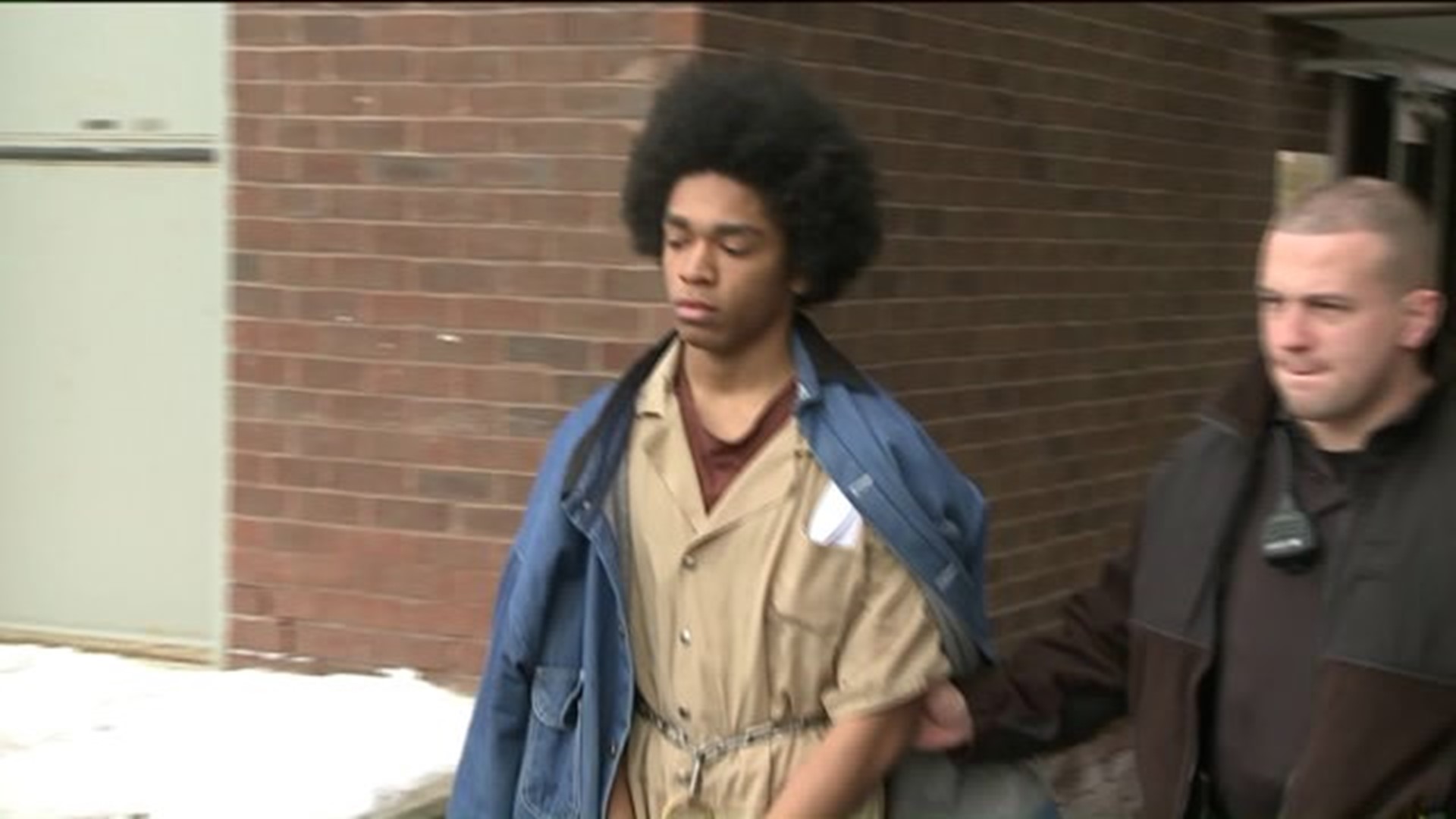 Teen Admits to Attack on Elderly Woman in Wayne County
