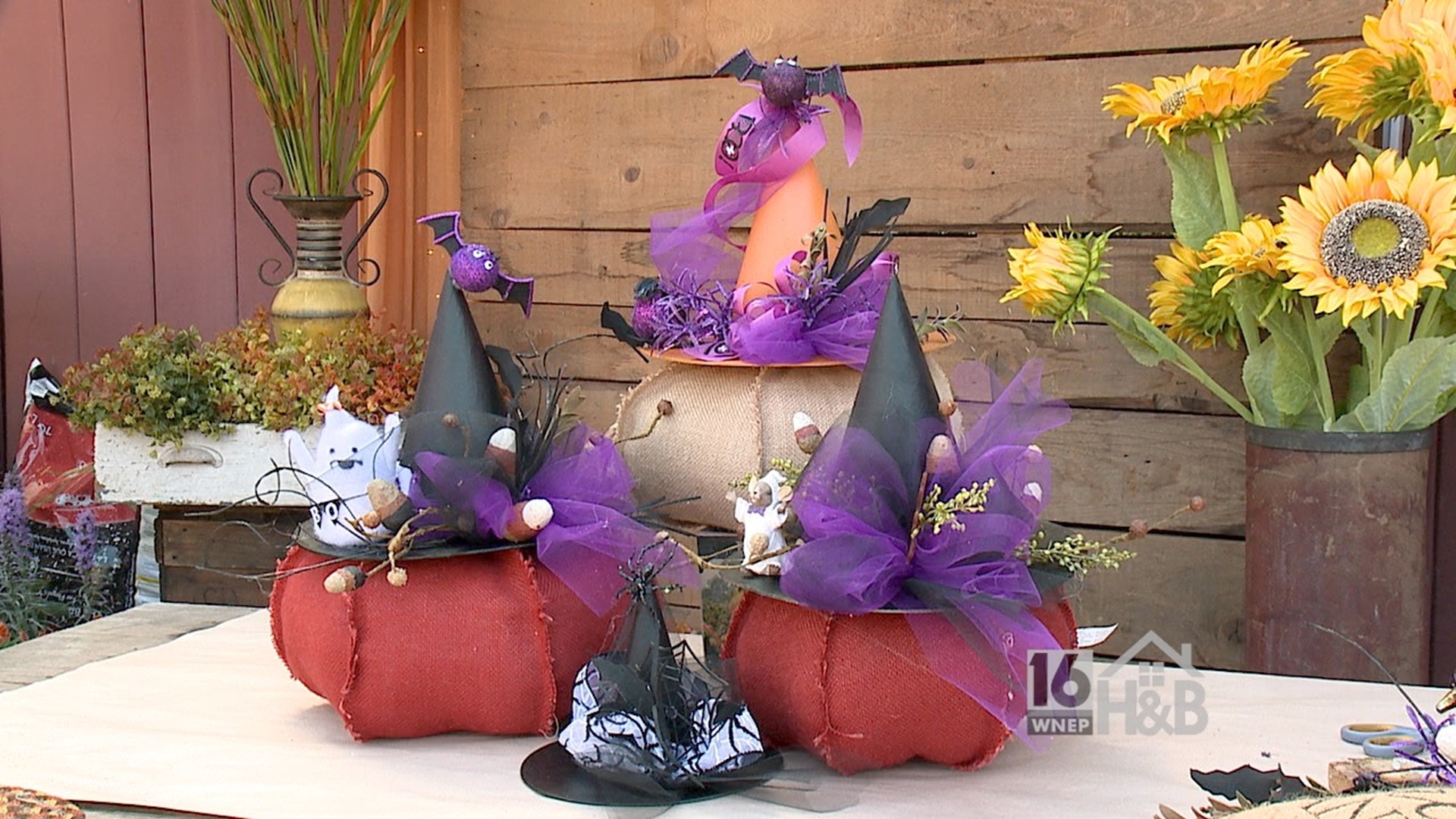 The Potting Shed - Witch Hat